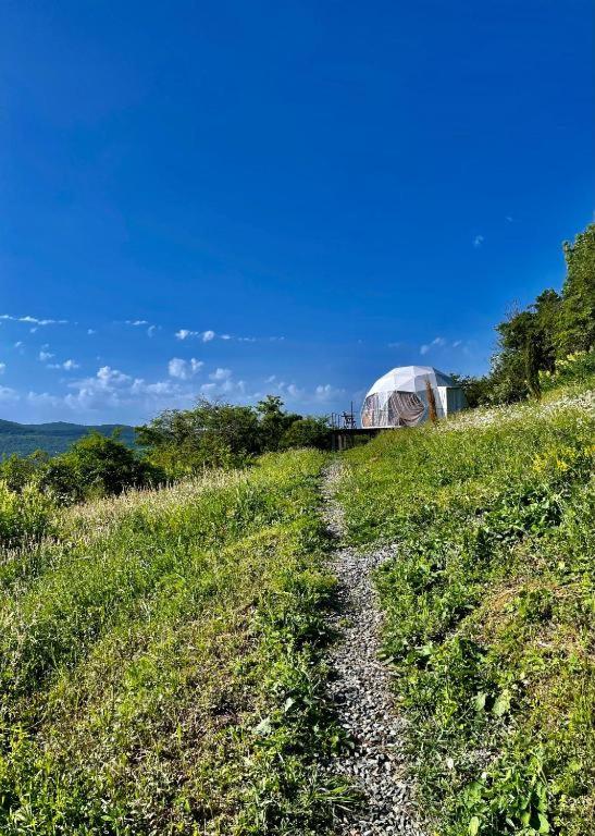 lakeviewglamp