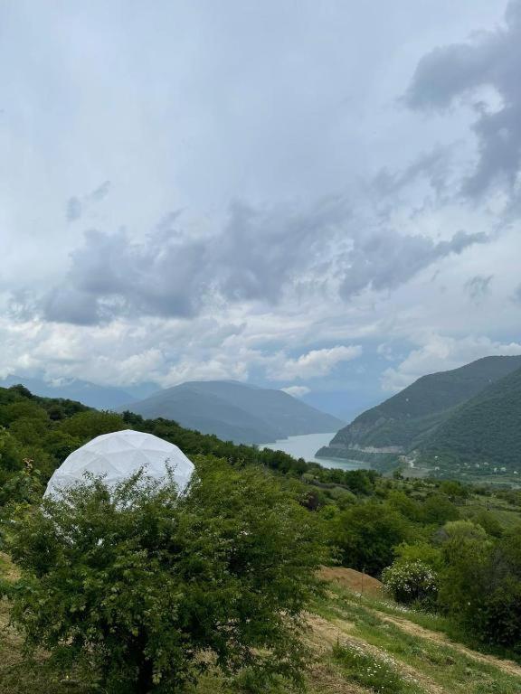 lakeviewglamp