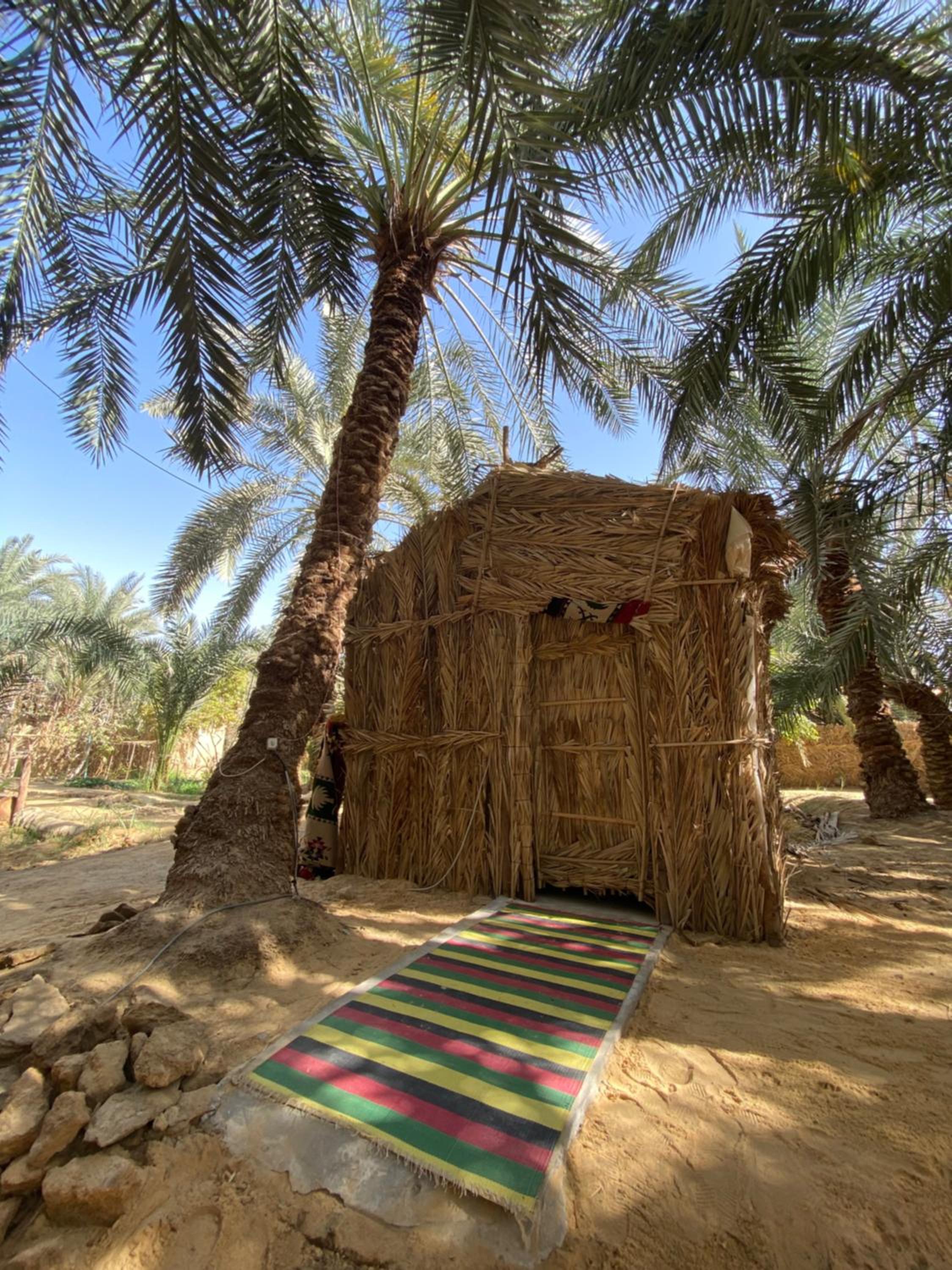 Forest Camp Siwa - كامب الغابة