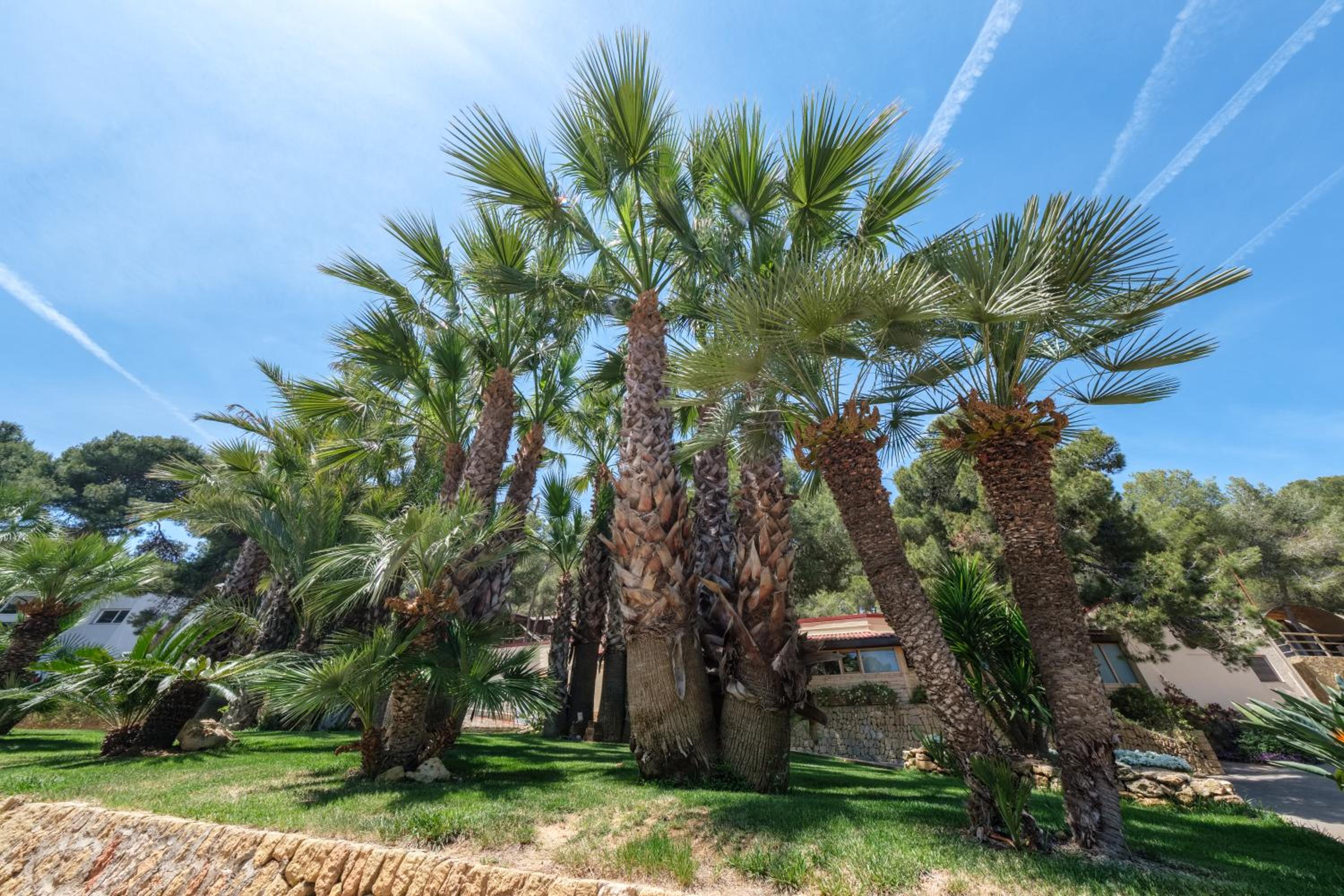 Camping Estival Torre de la Mora