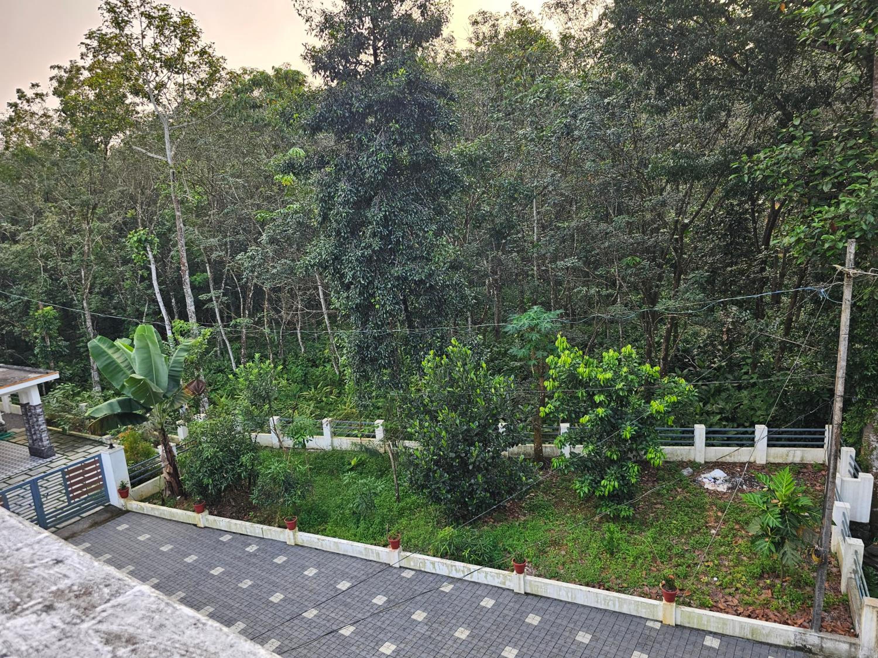 Natureland Homestay view 3