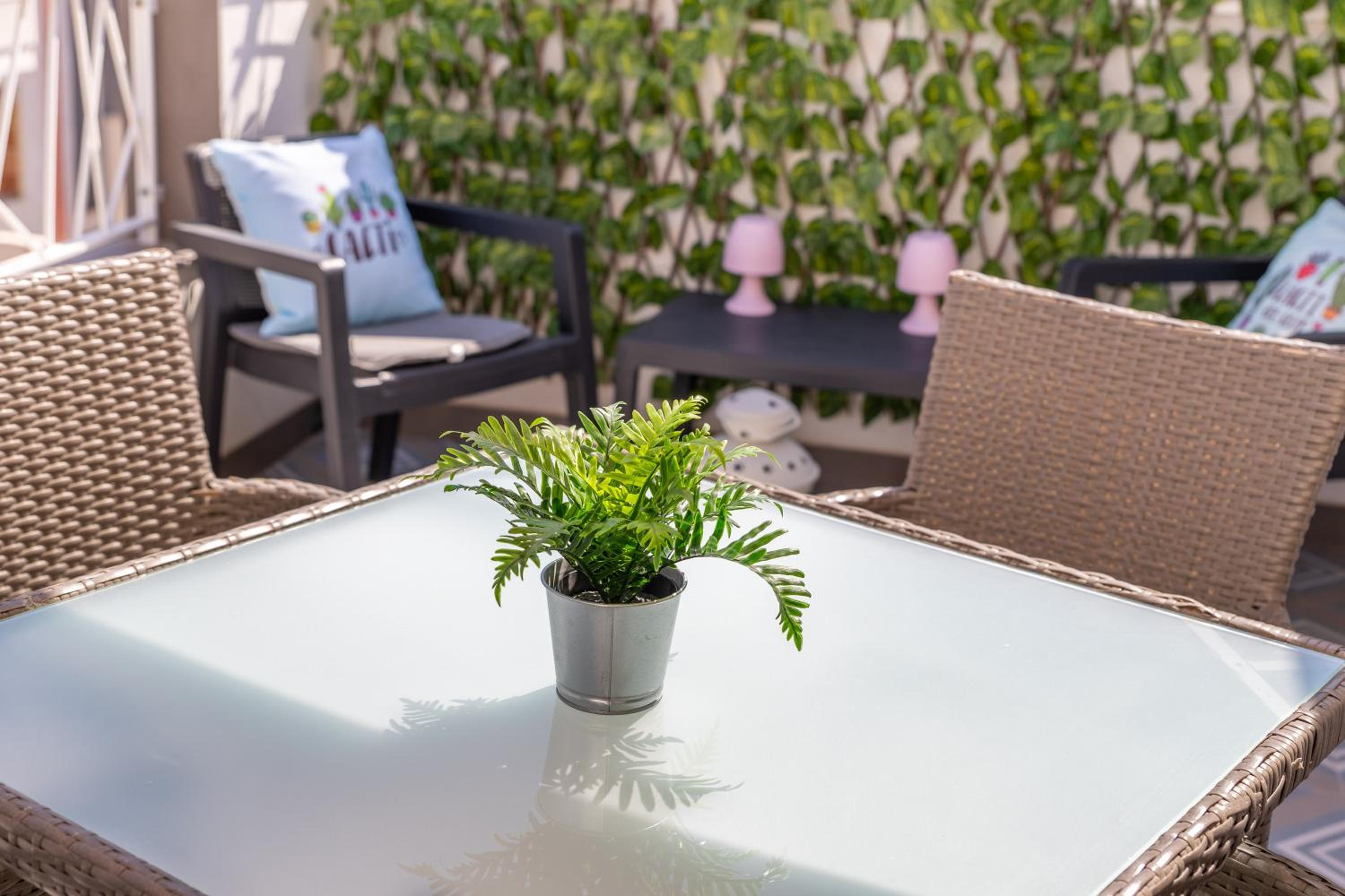 balance & terrace
