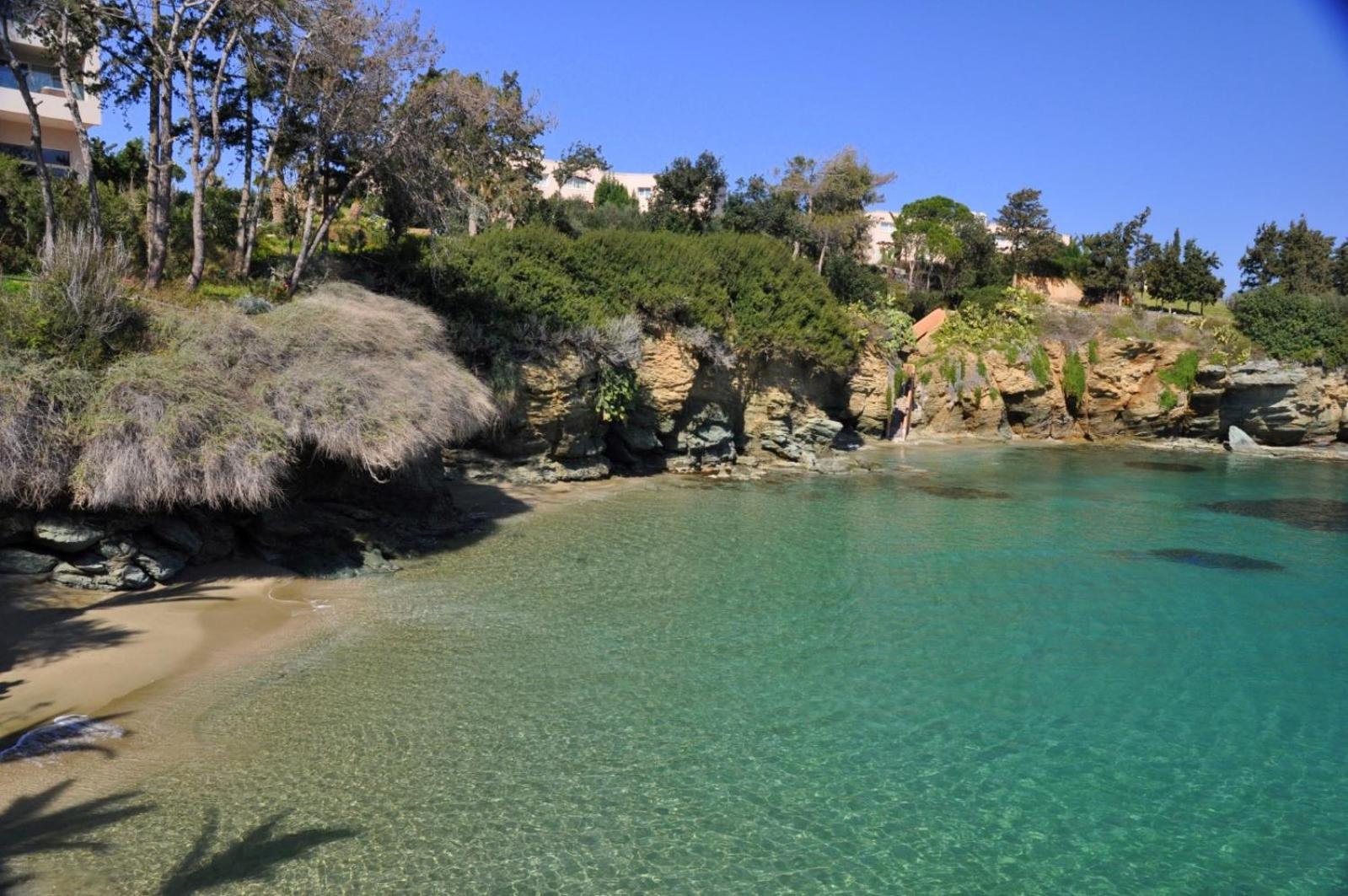Renia Studios - Pool & Beach in 150m - Agia Pelagia