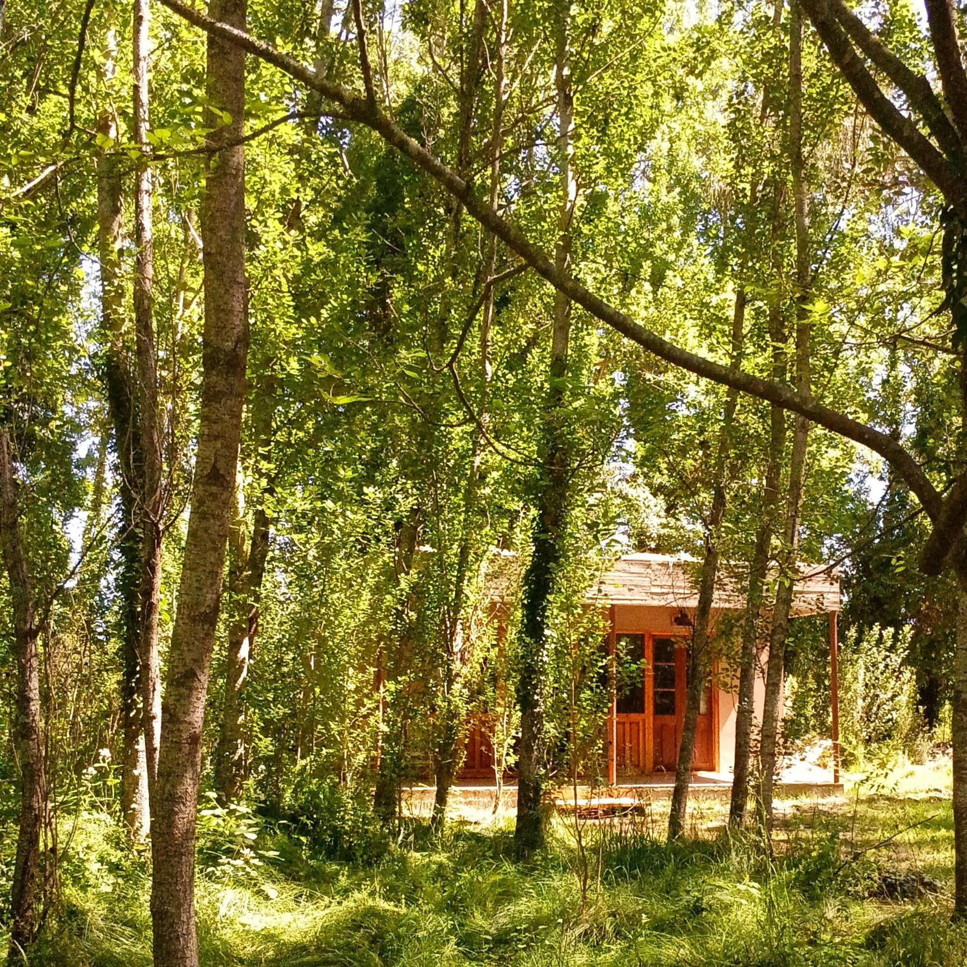 Cuenca del Bosque