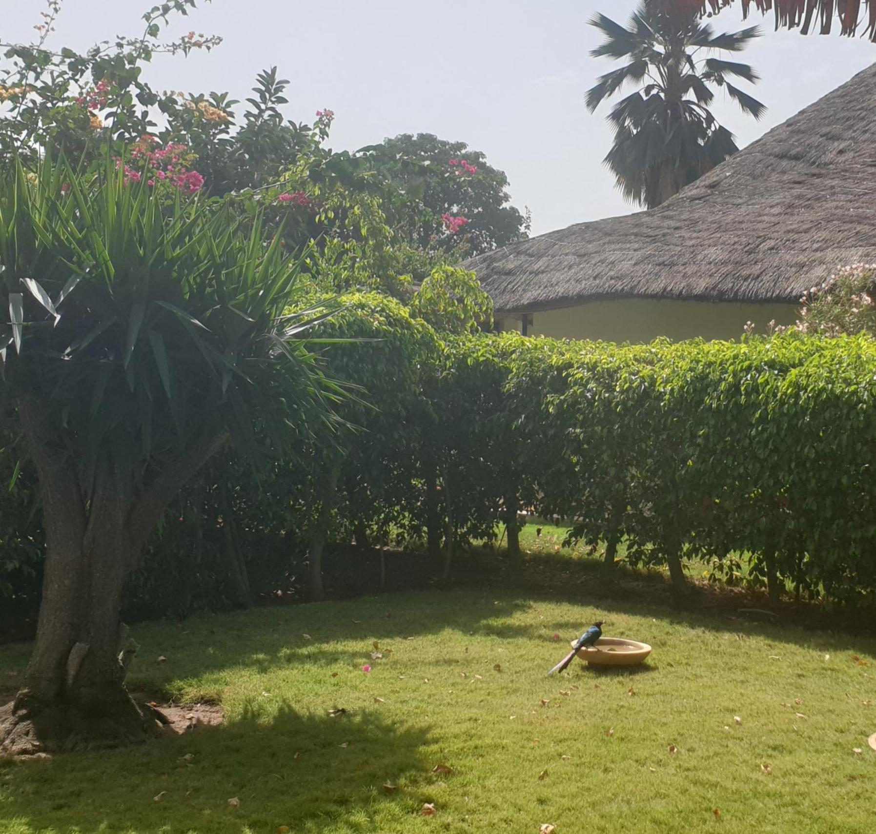 Teranga saly senegal