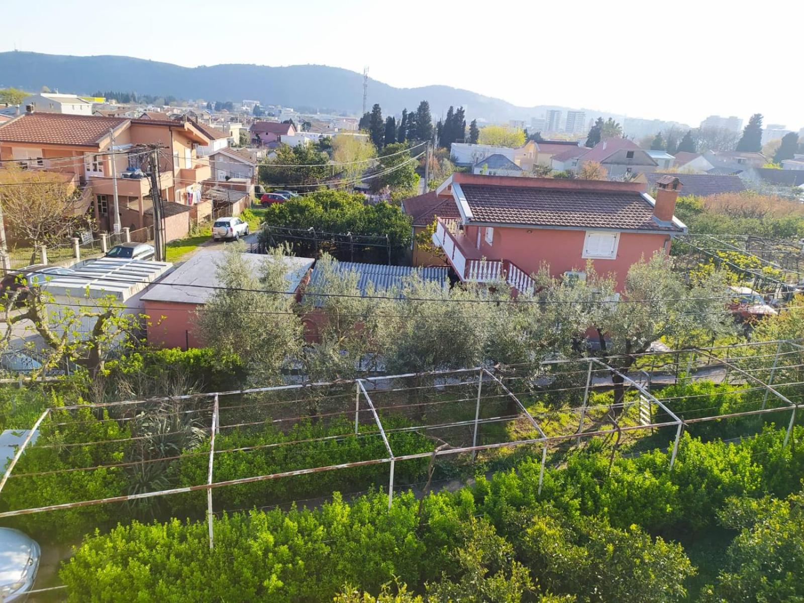 Mavi