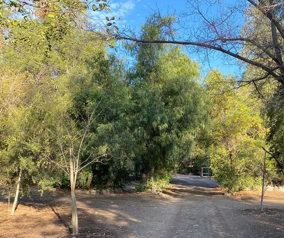 Cabañas Parque Almendro