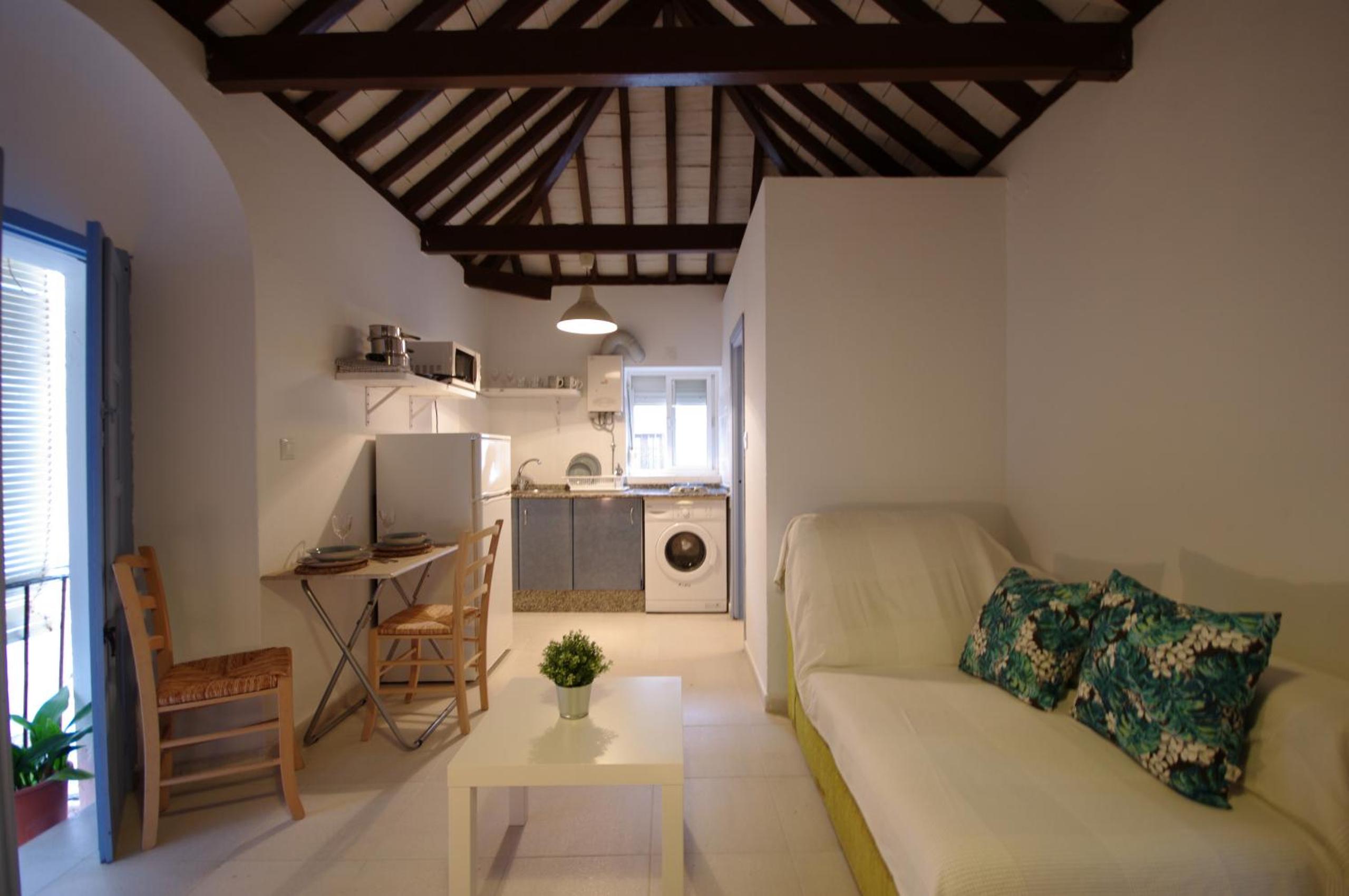 Livingtarifa Paloma