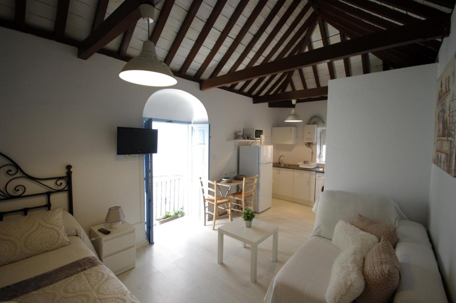 Livingtarifa Paloma