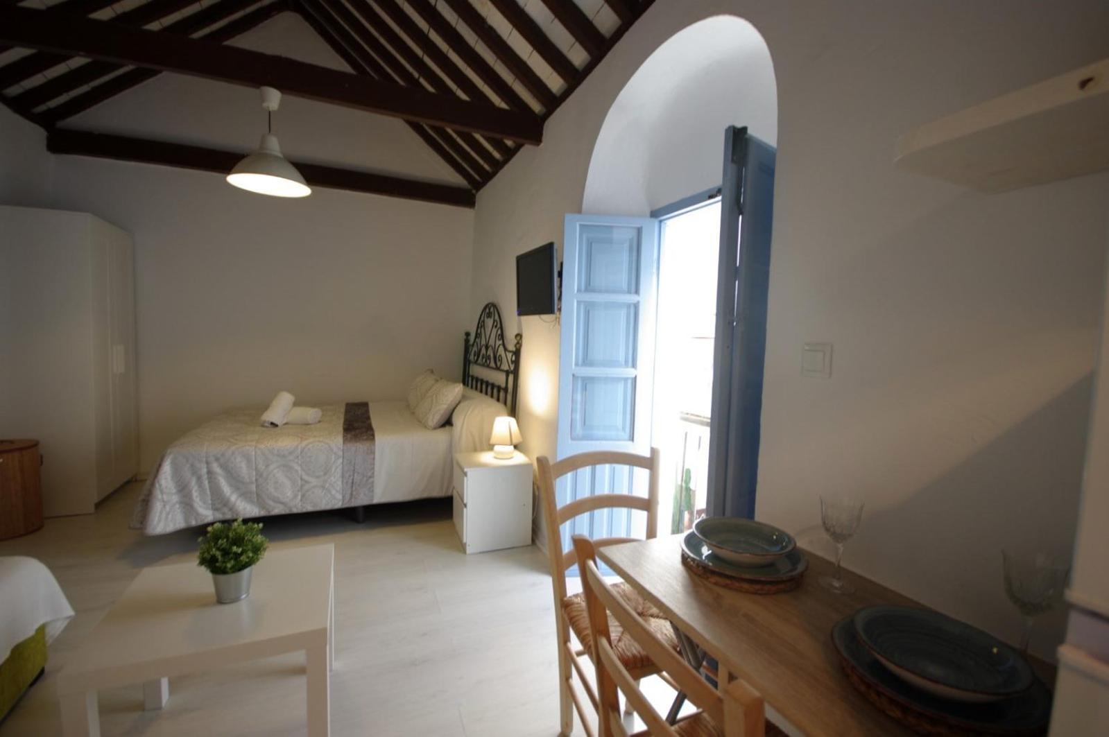 Livingtarifa Paloma