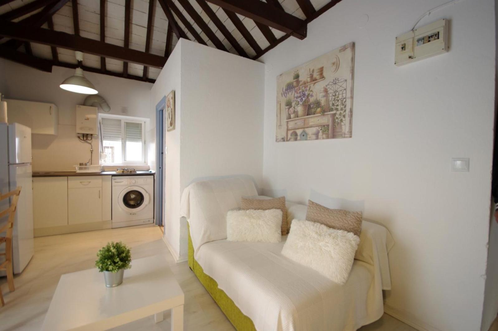 Livingtarifa Paloma