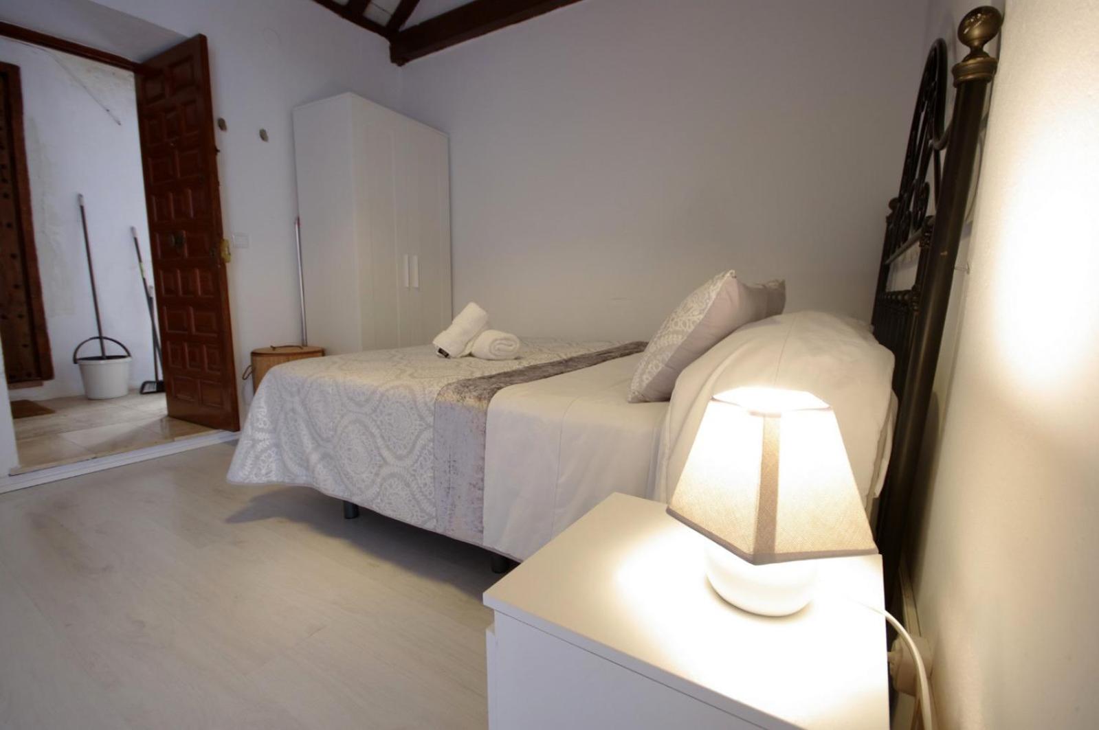 Livingtarifa Paloma