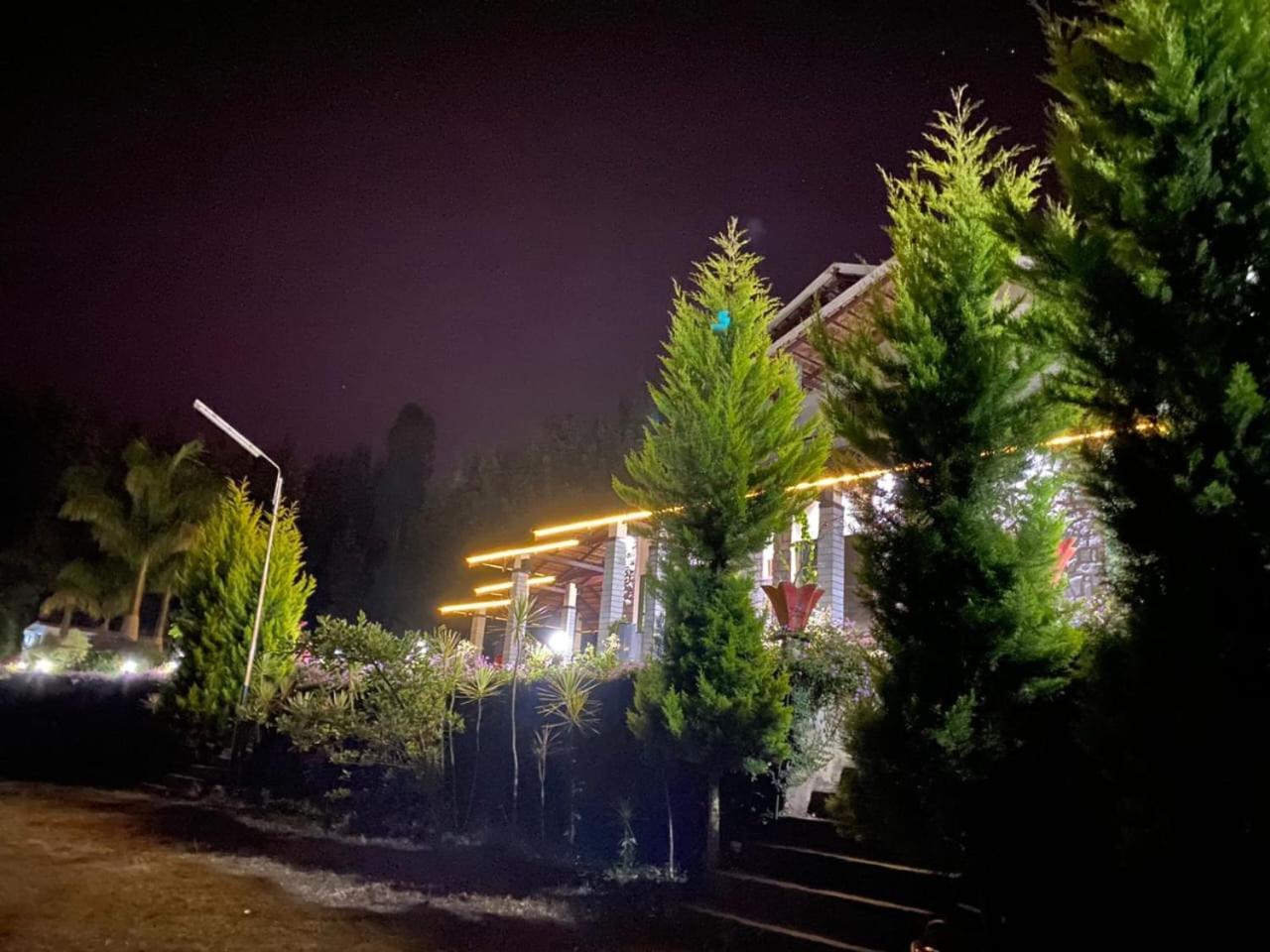 Elegance Homestay