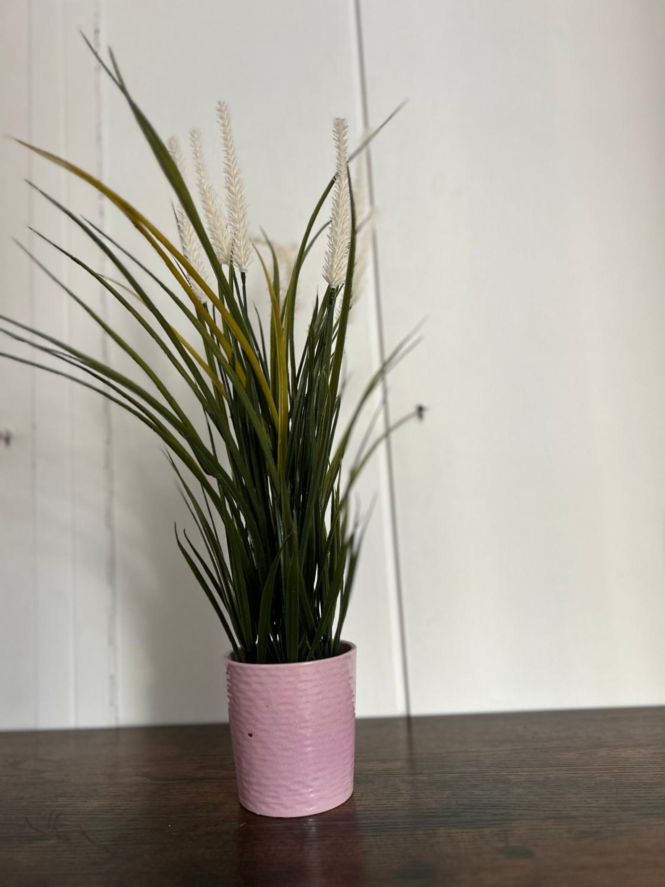 Apartament Marszałkowska
