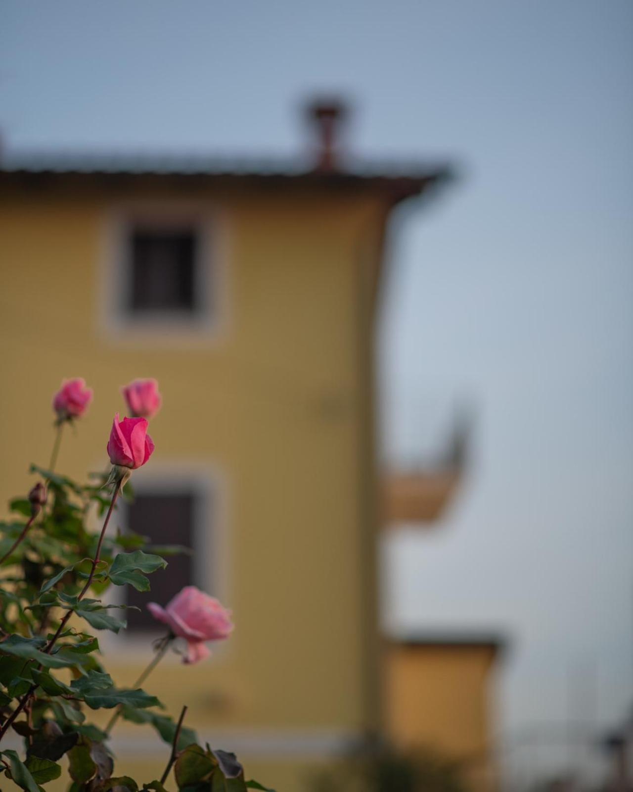 Apartman Klaudia
