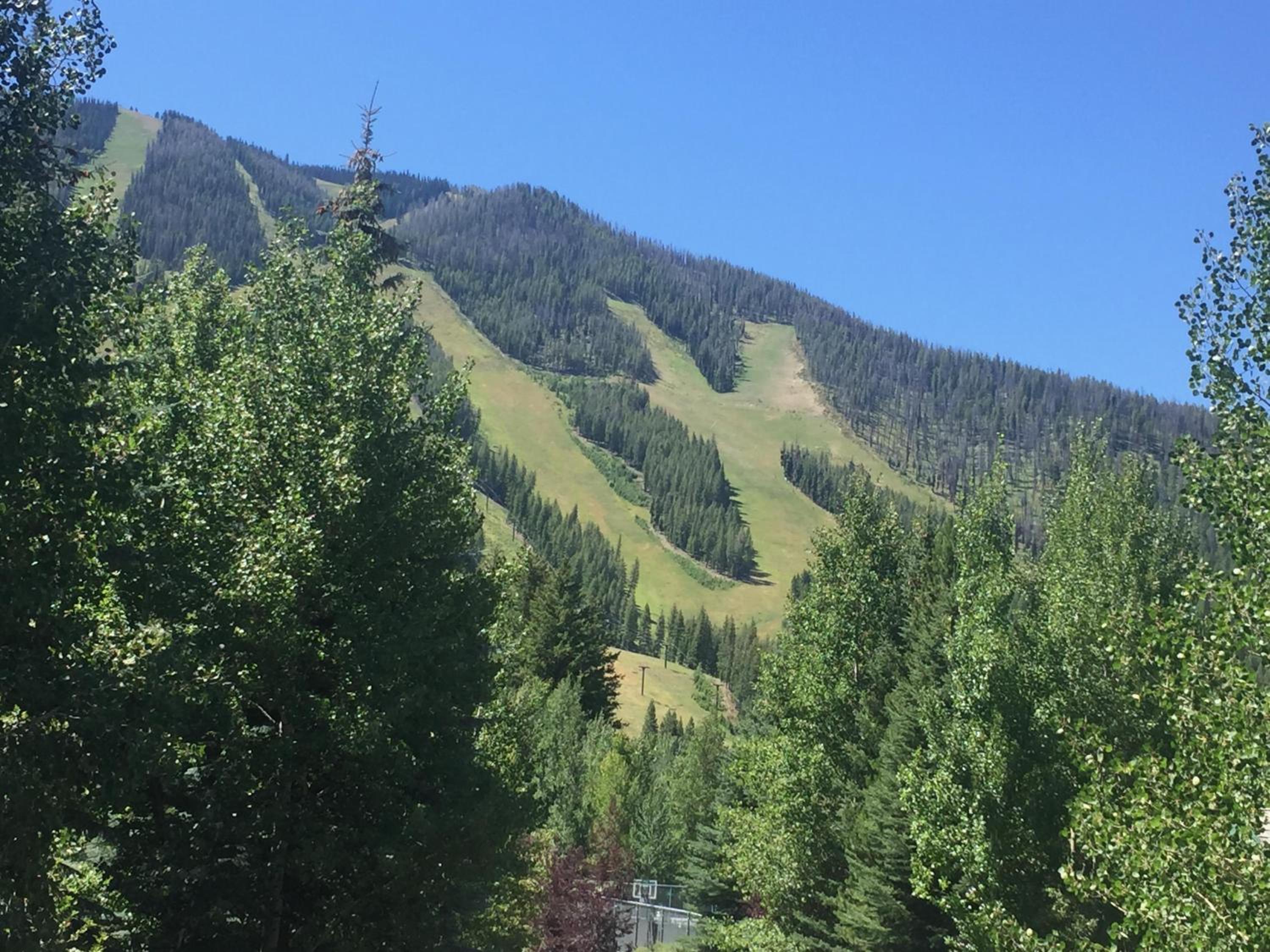 Aspen Home