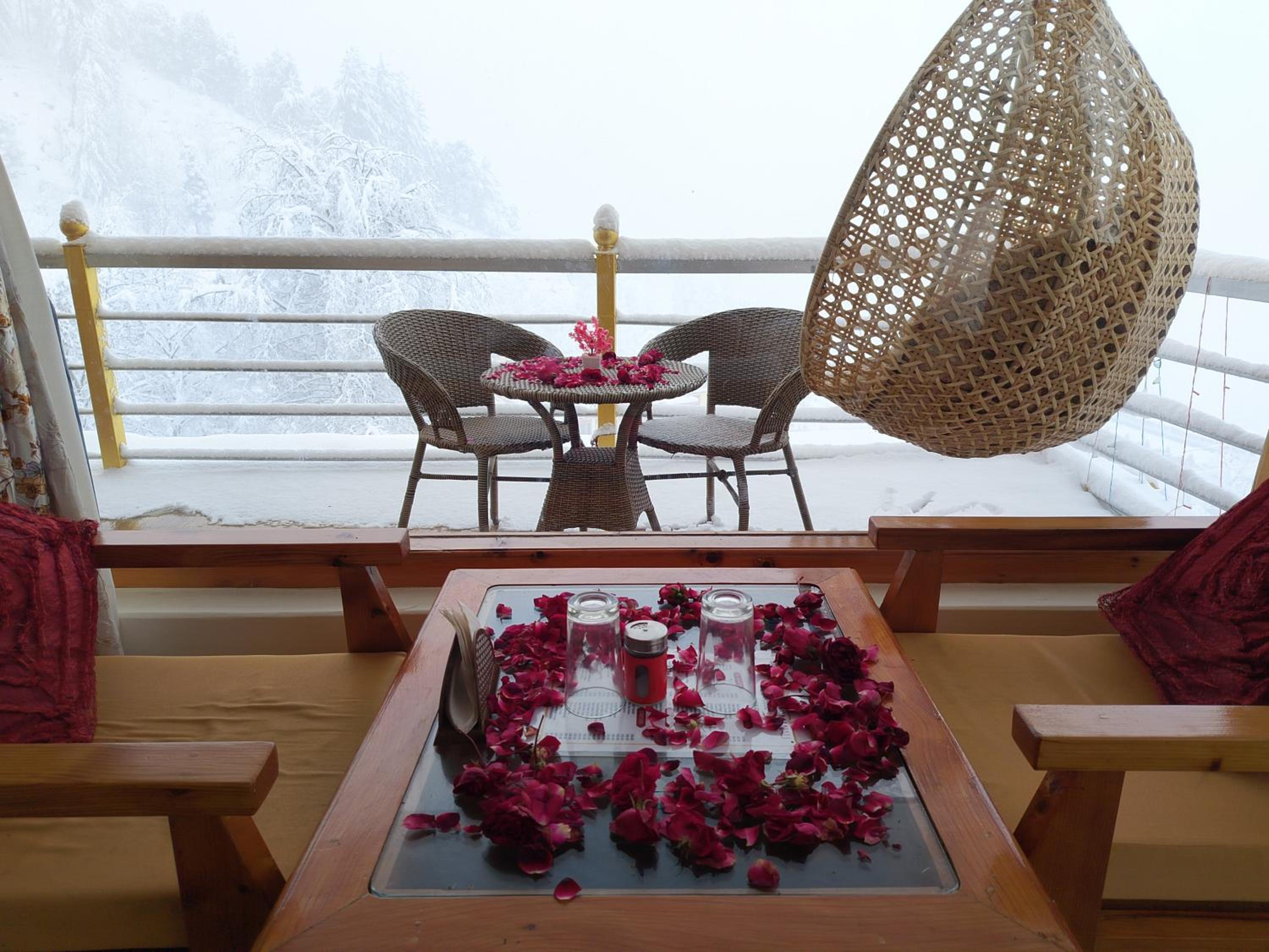 Forest View Homestay