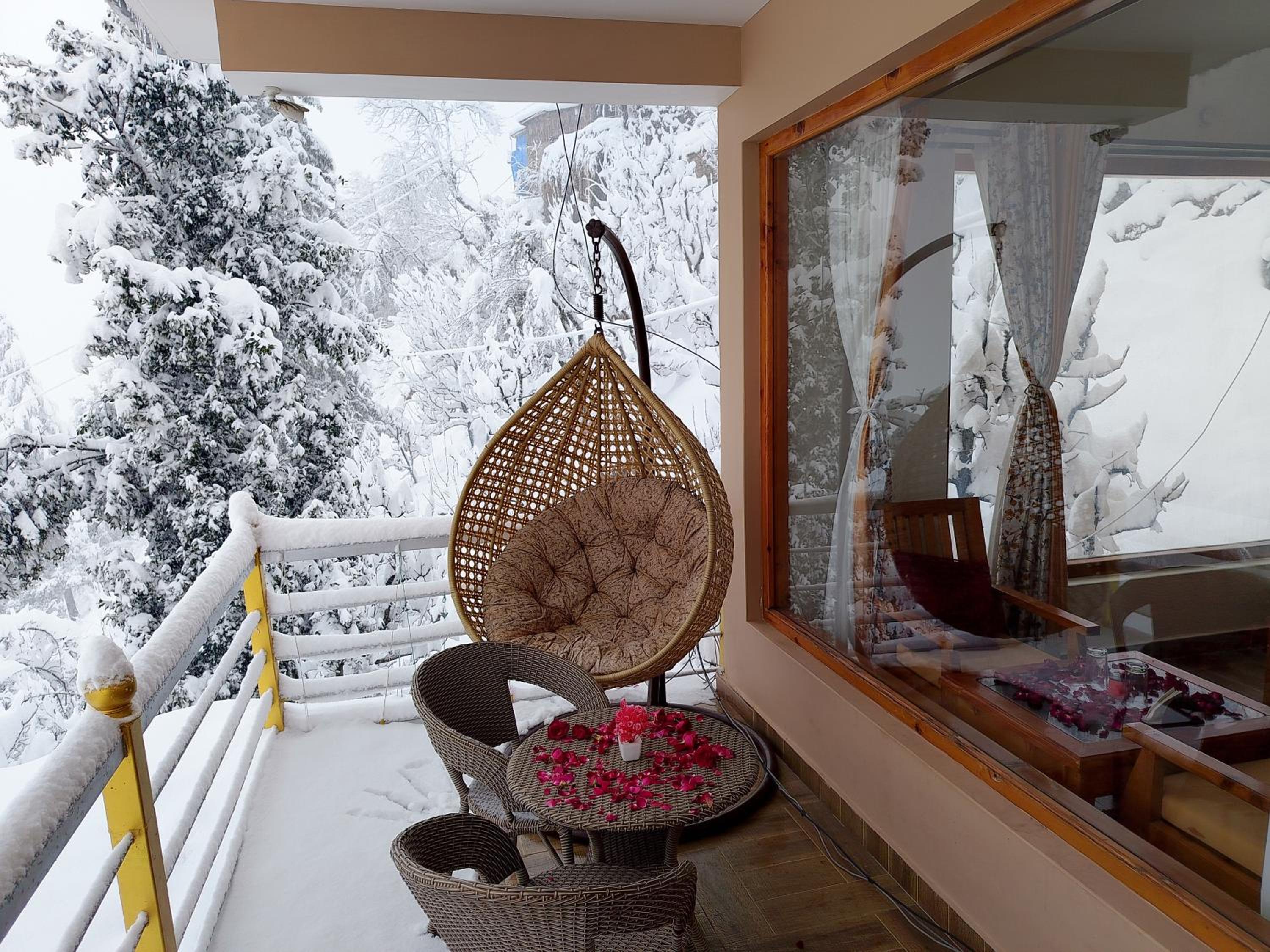 Forest View Homestay