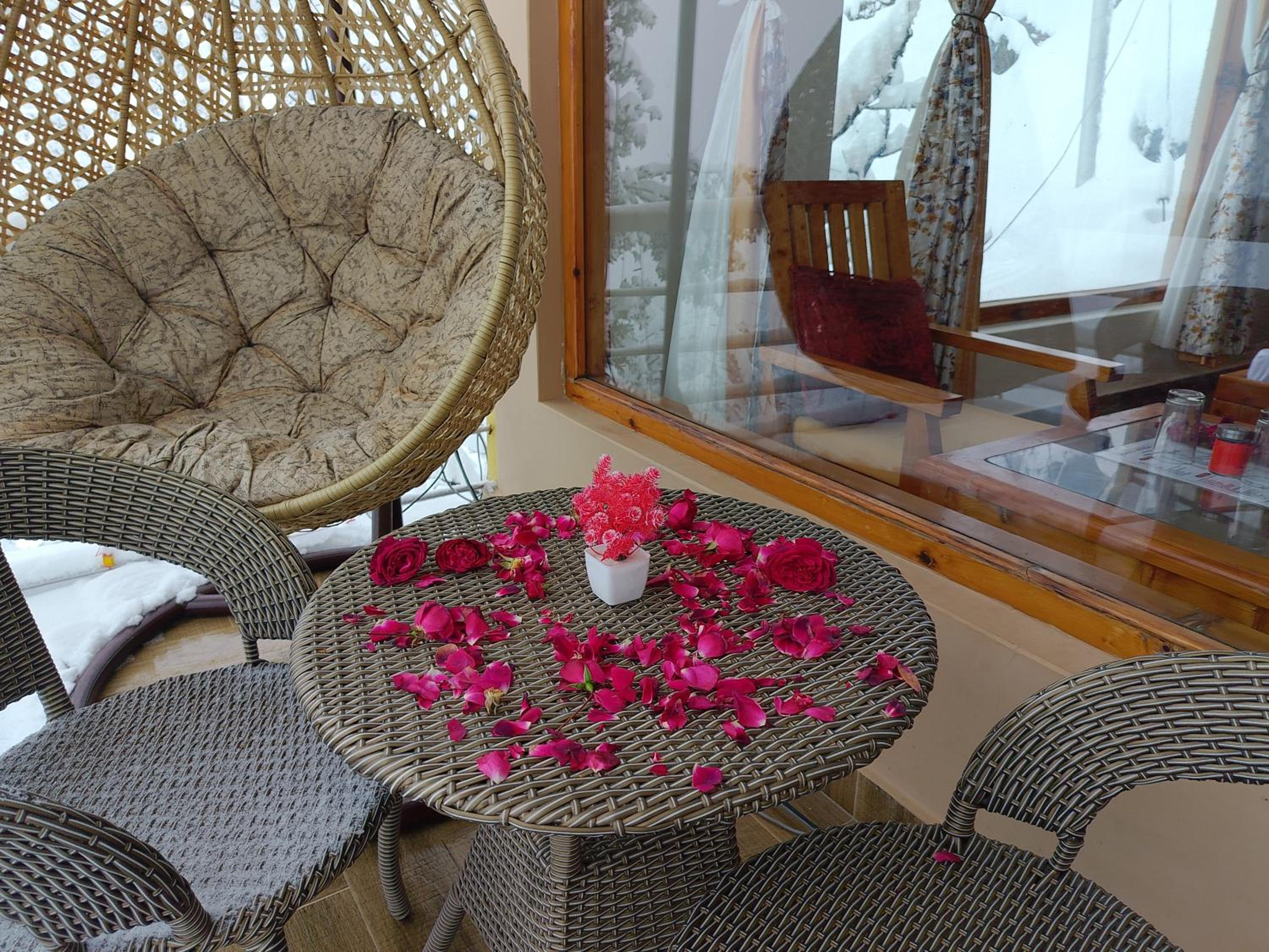 Forest View Homestay
