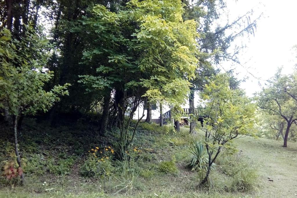 Photo 37