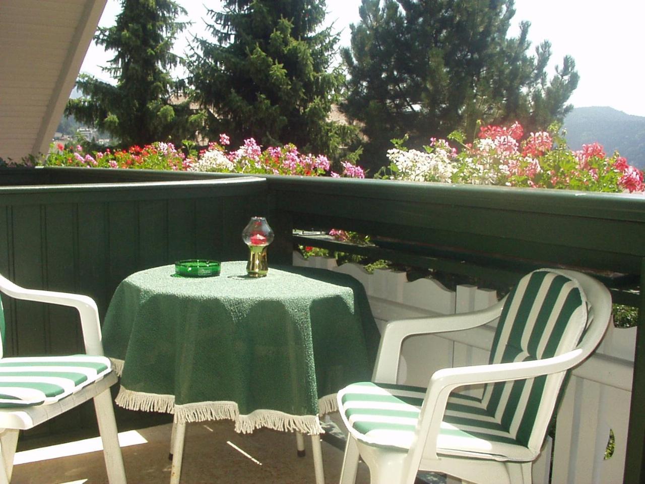 Pension & Apartments Ertl