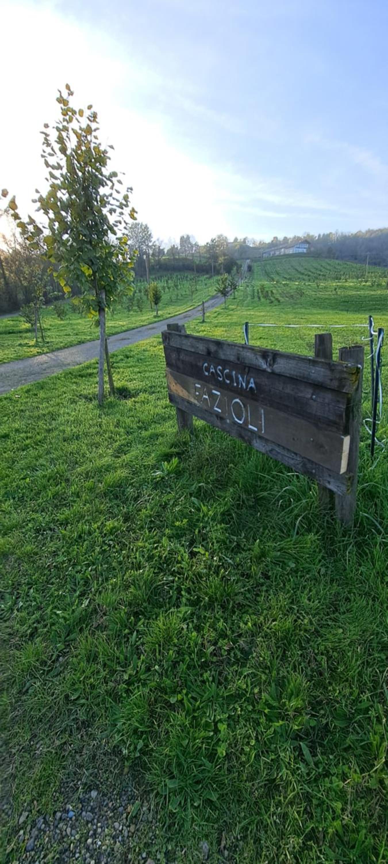 Cascina Fazioli B&B