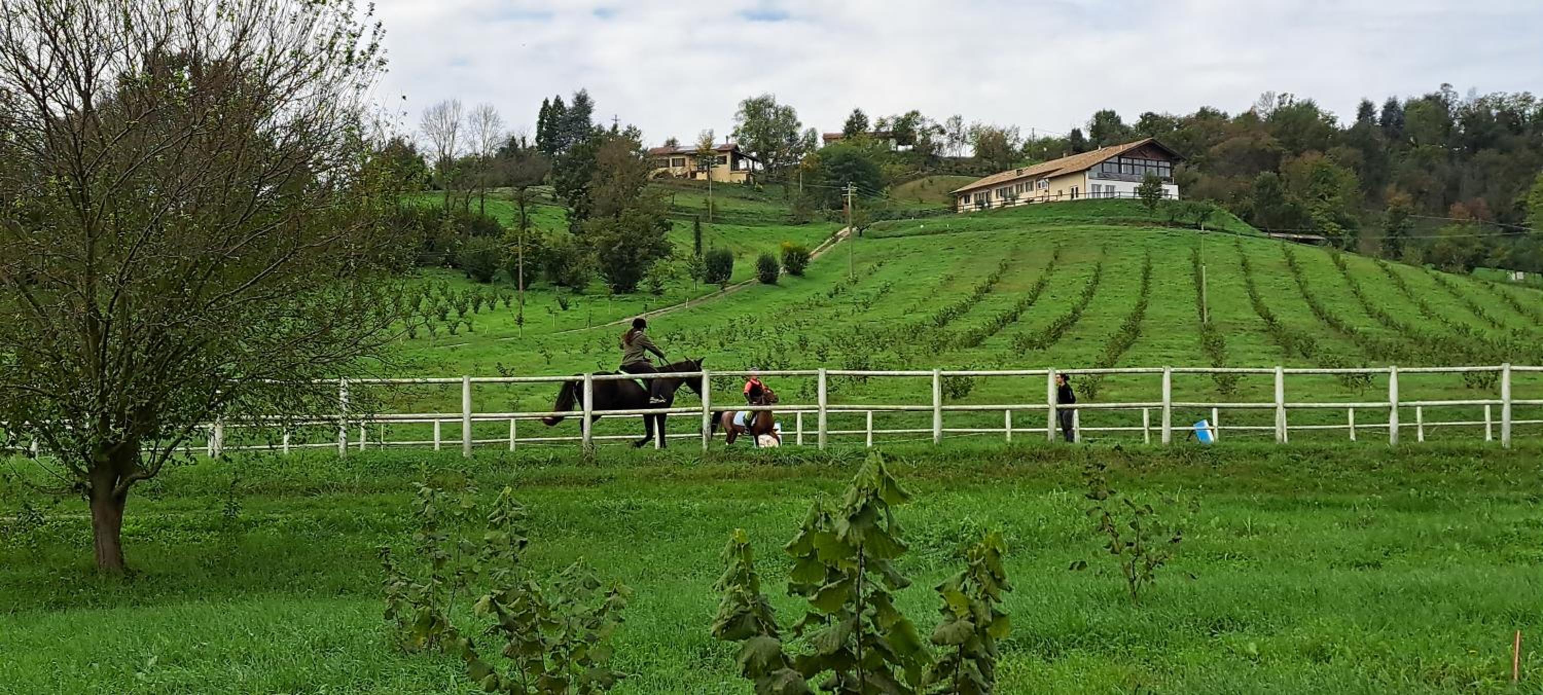 Cascina Fazioli B&B