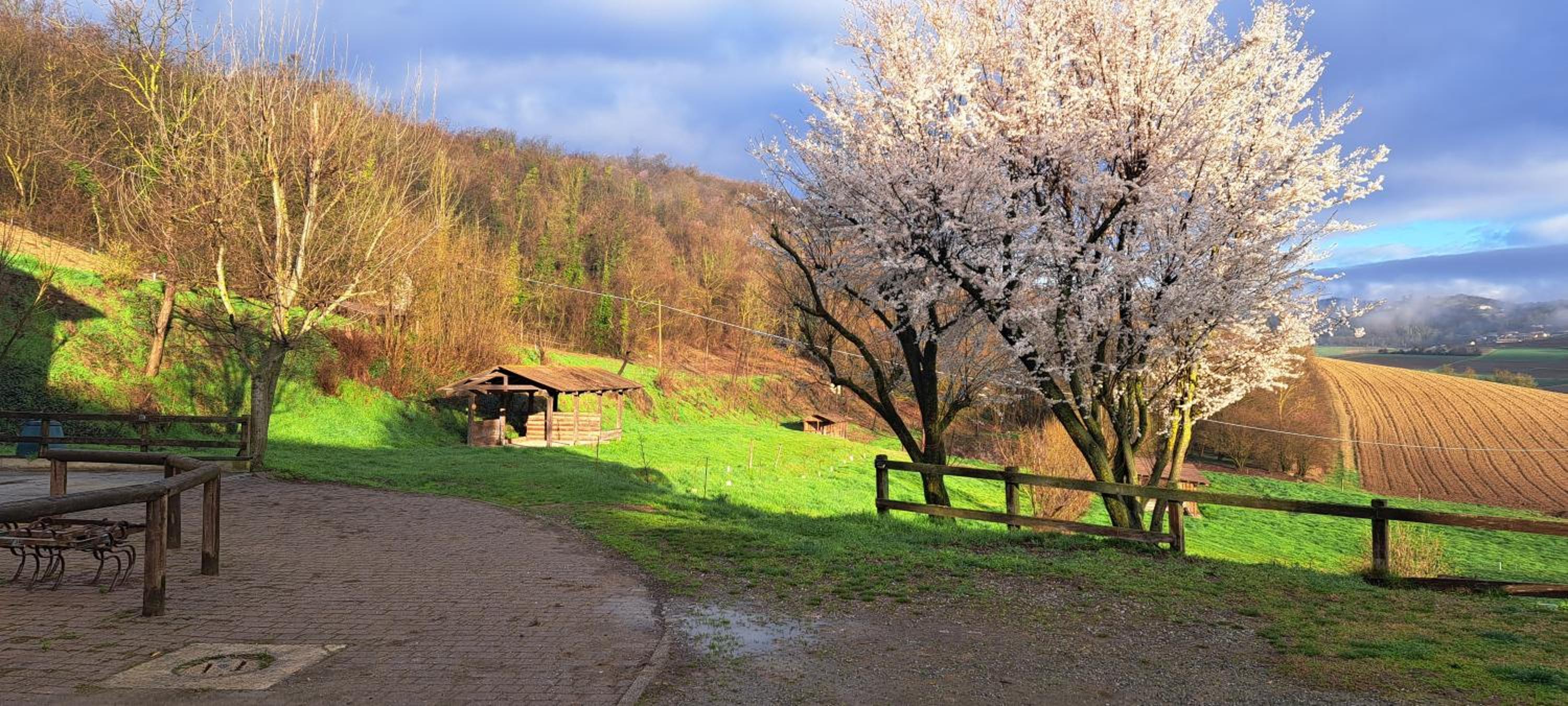 Cascina Fazioli B&B