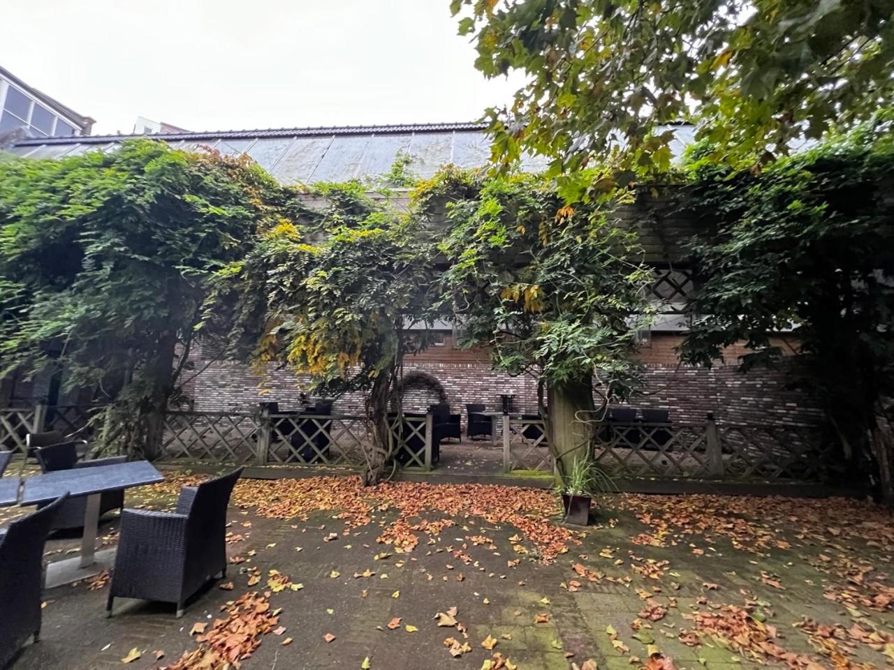 Photo 16
