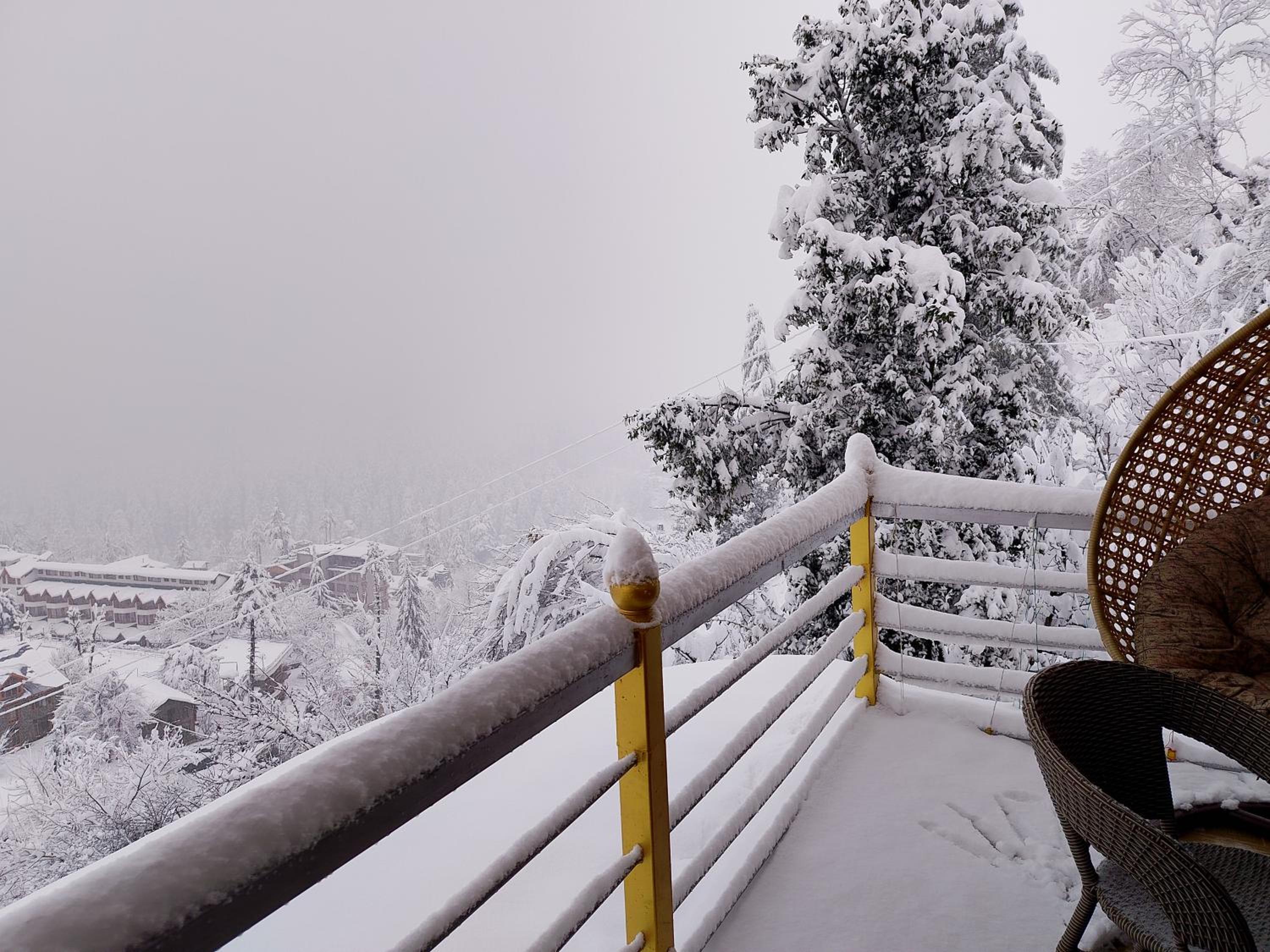 Forest View Homestay
