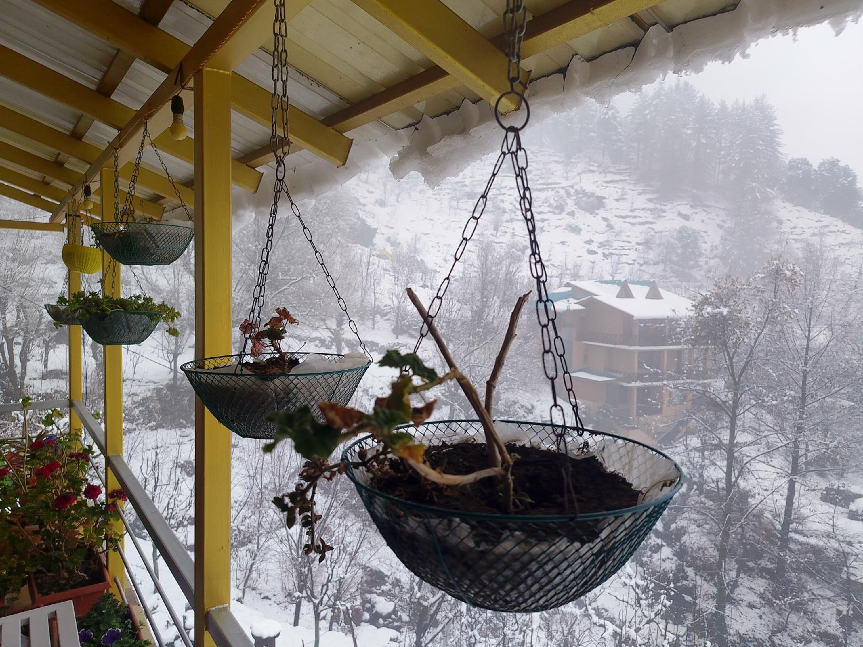 Forest View Homestay