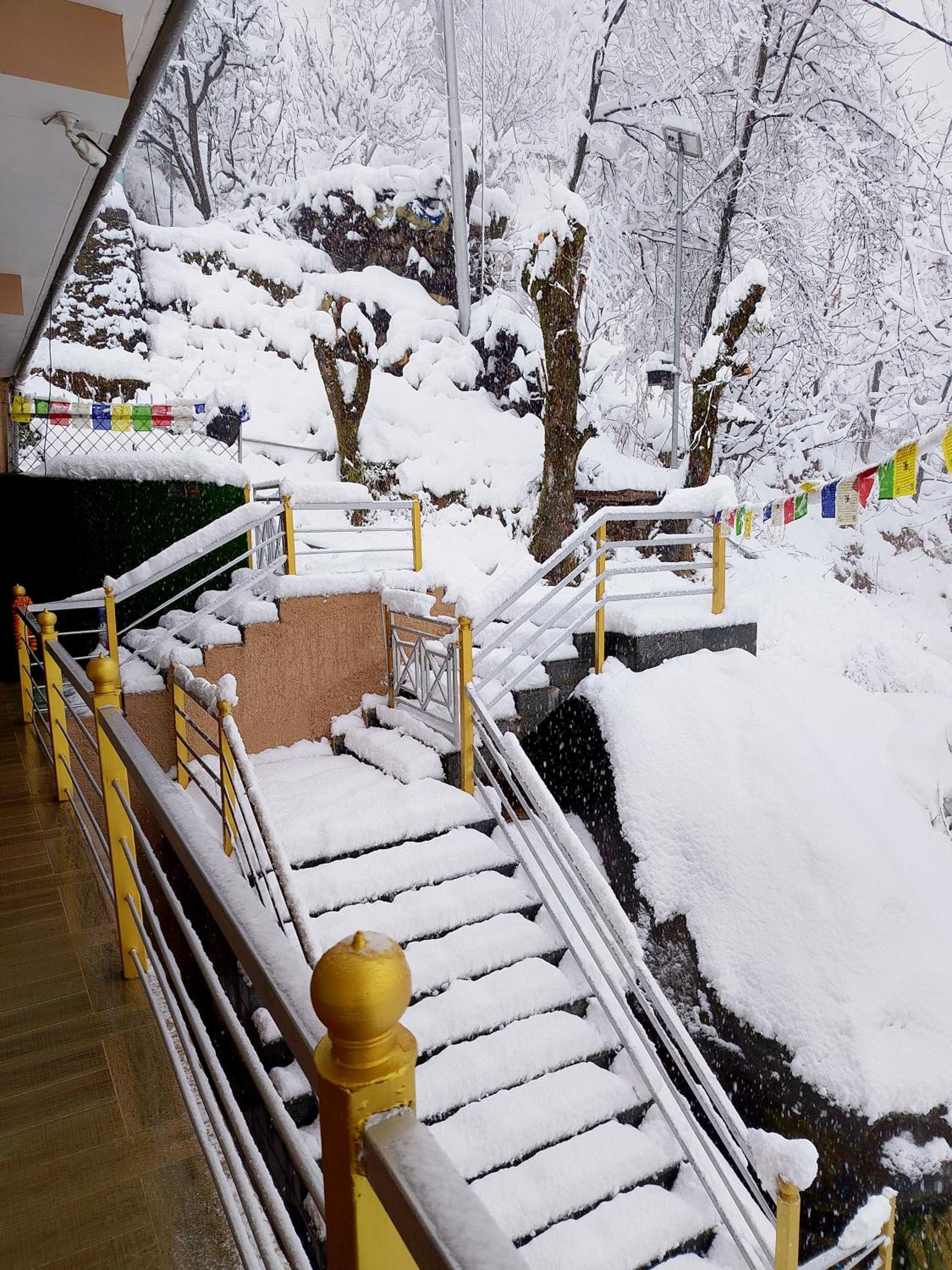 Forest View Homestay