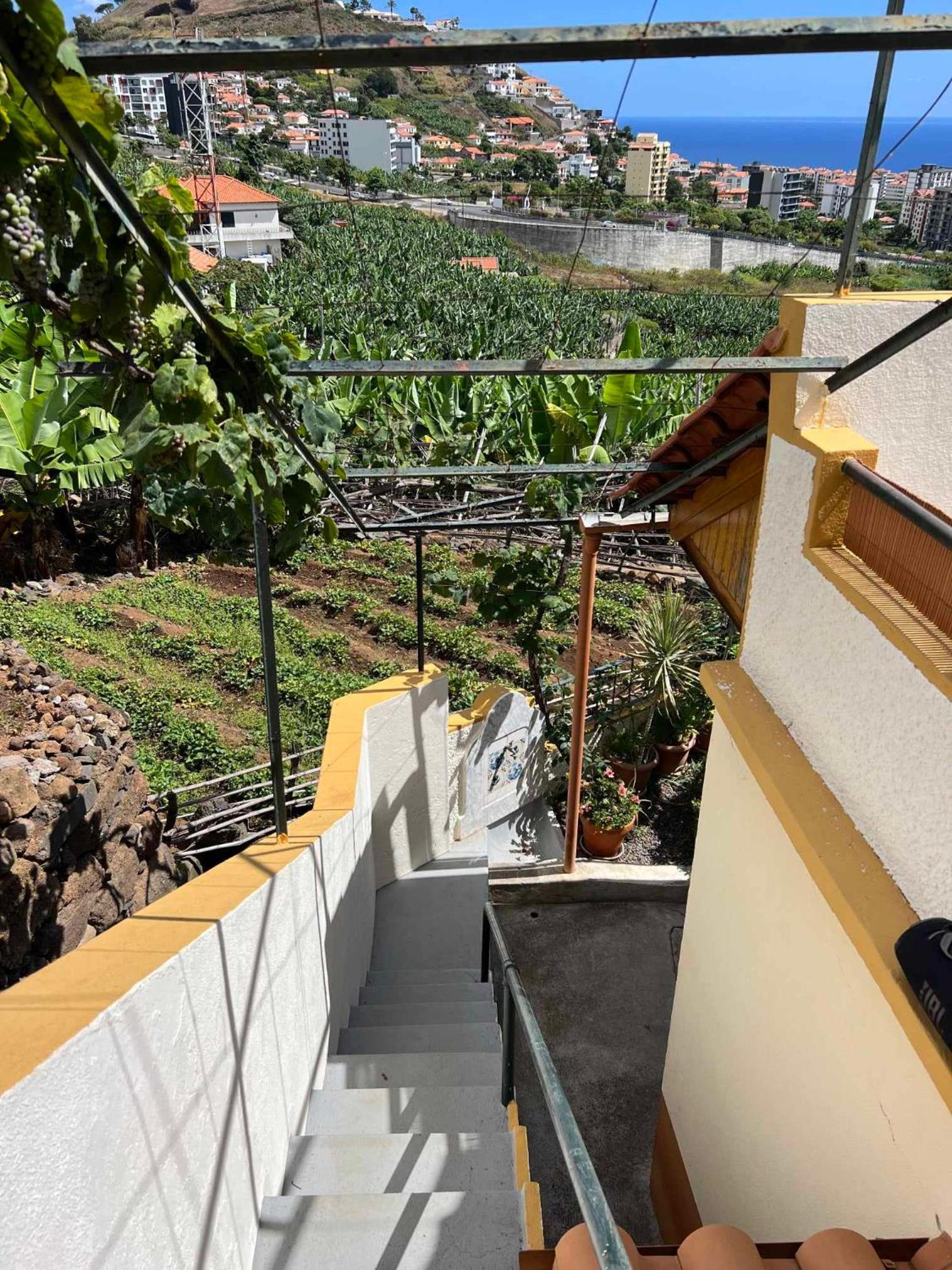Chinchilla's House Madeira Style view 2