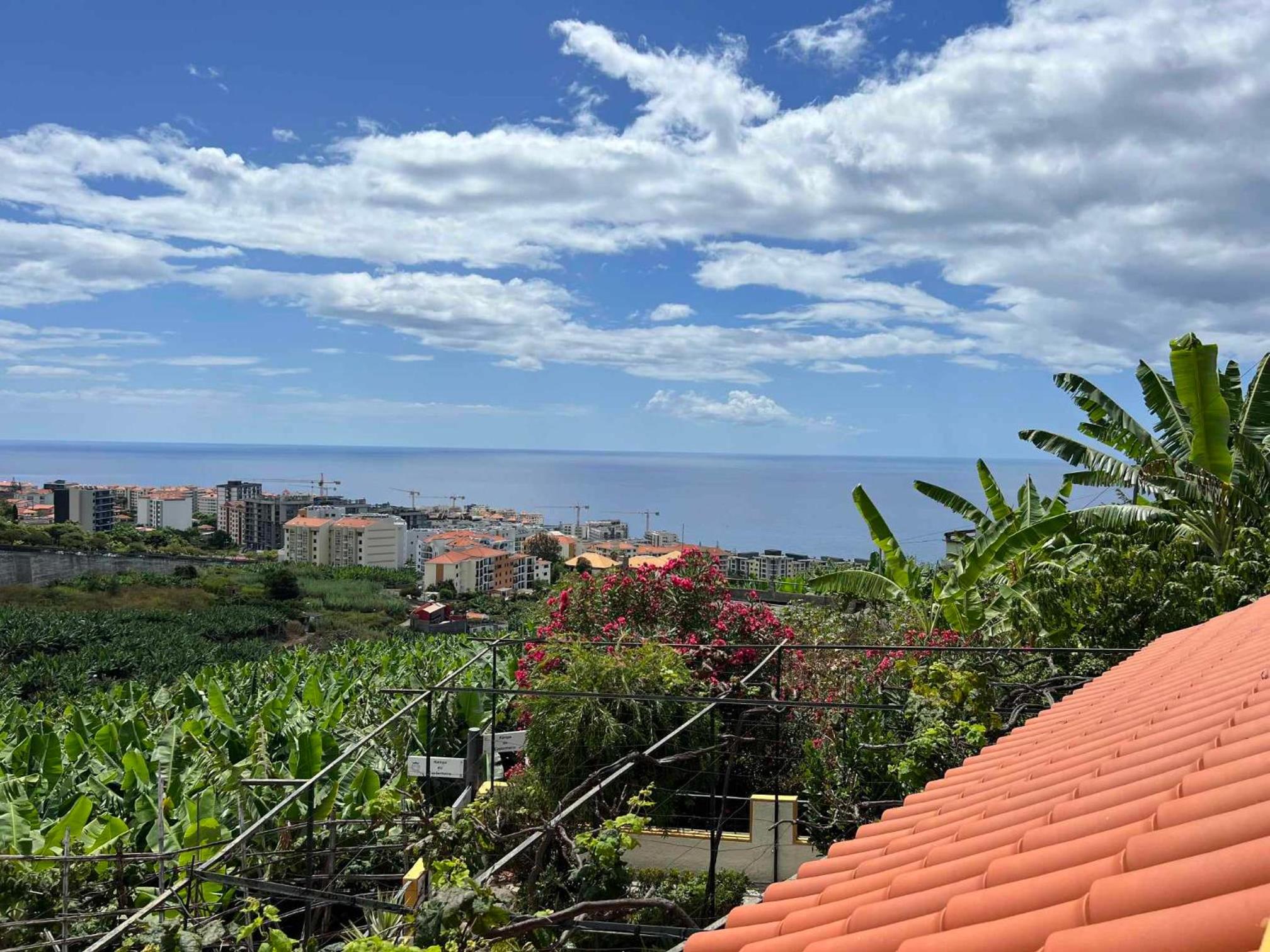 Chinchilla's House Madeira Style view 4