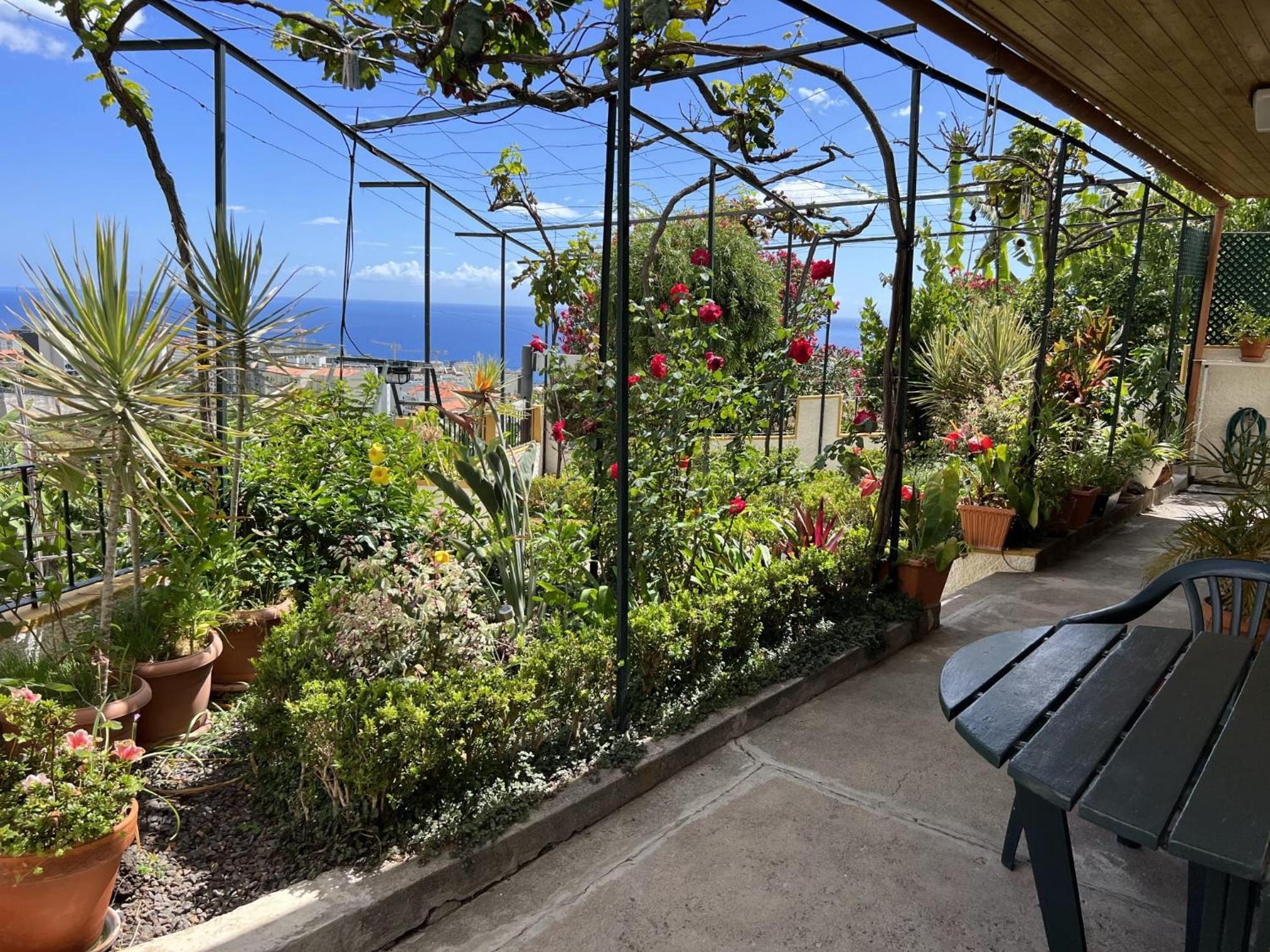 Chinchilla's House Madeira Style view 5