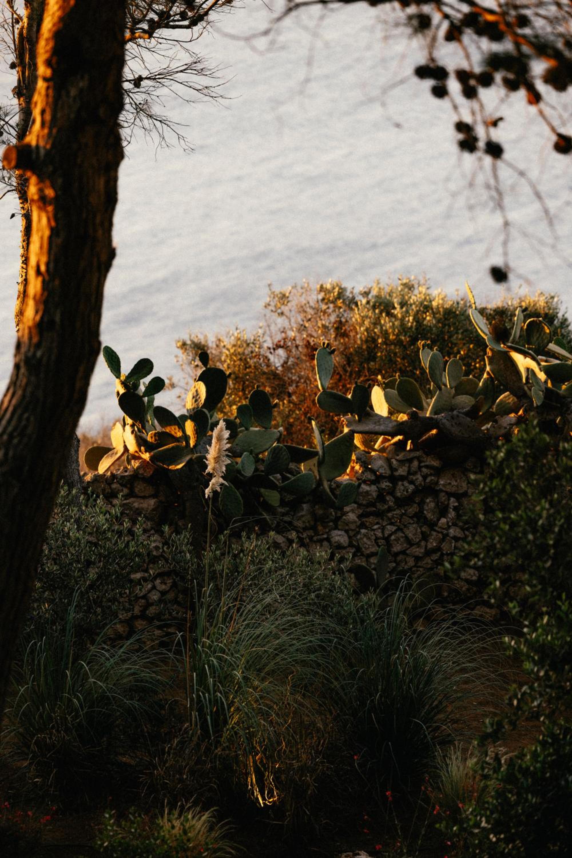 Villa Acquamarina - Puglia Luxury Homes