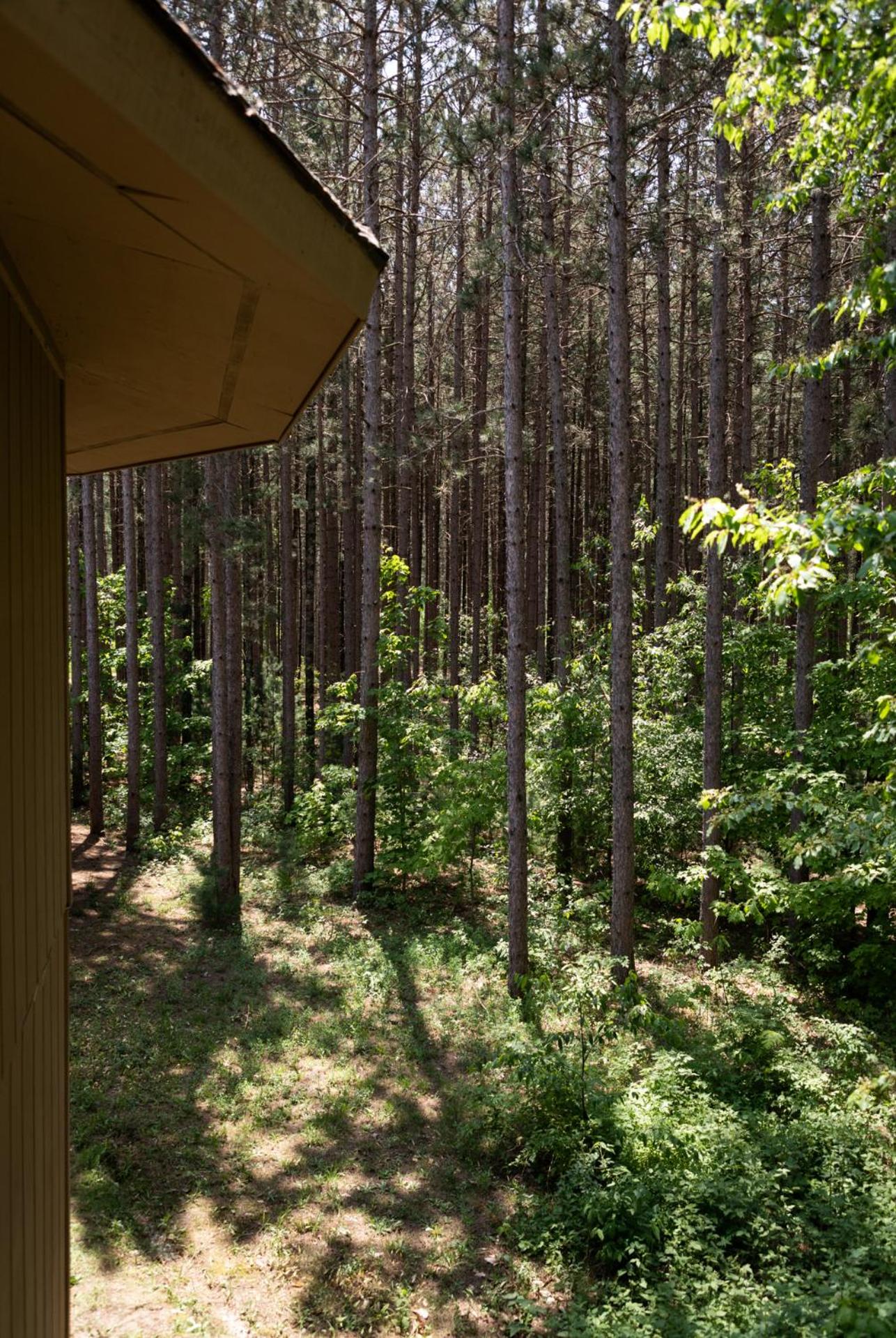 Photo 26