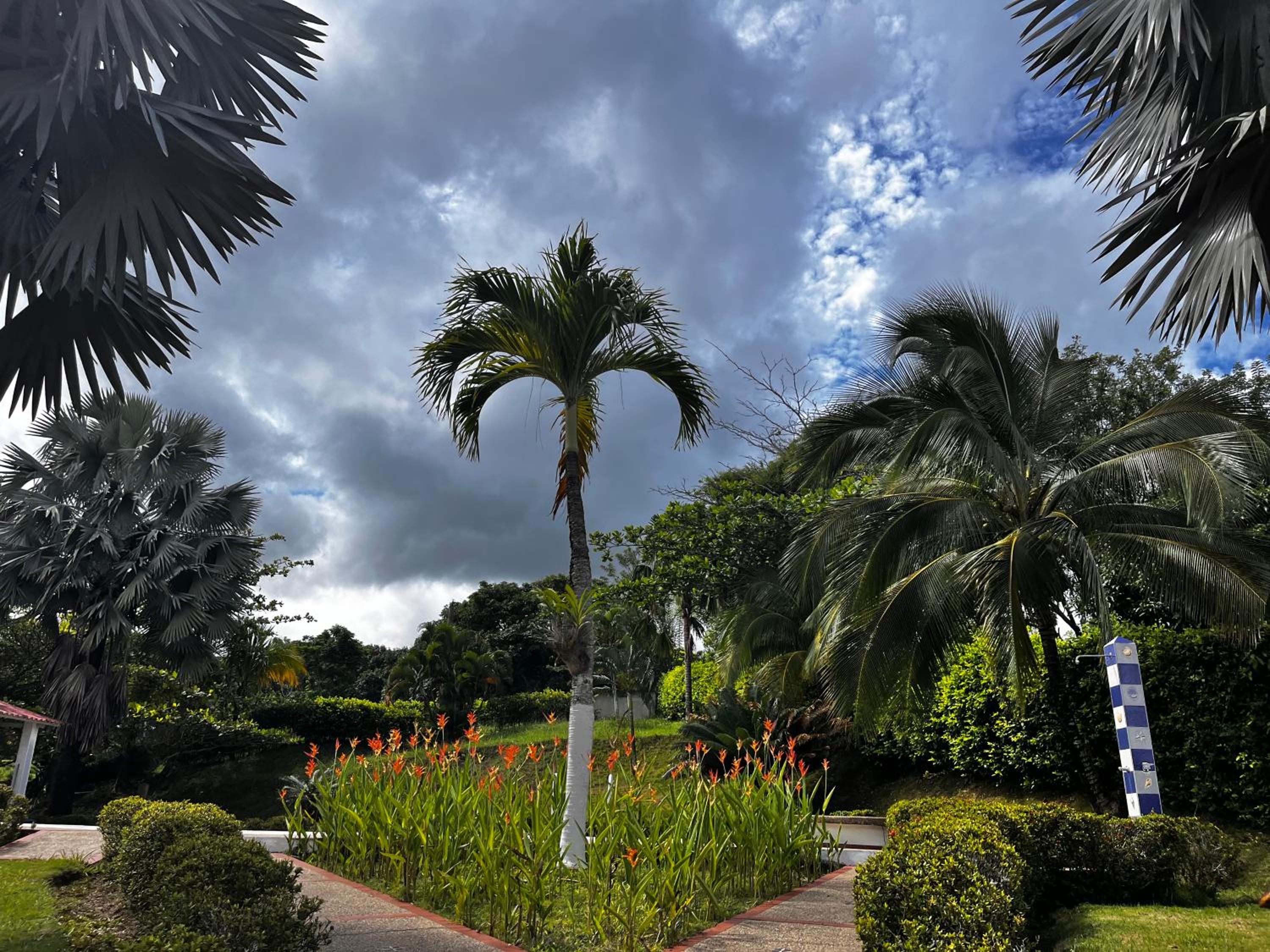 Finca Shaloom
