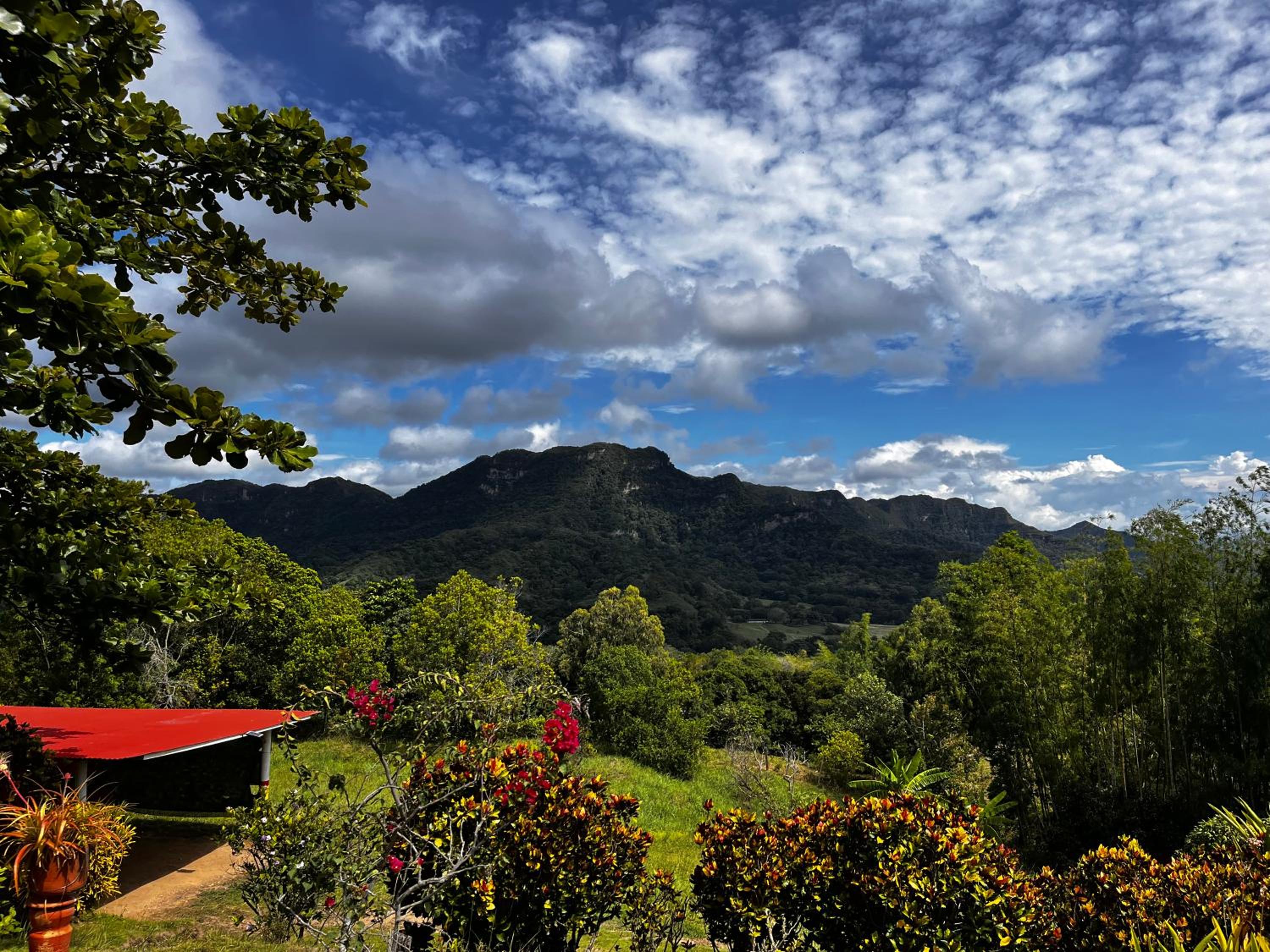 Finca Shaloom