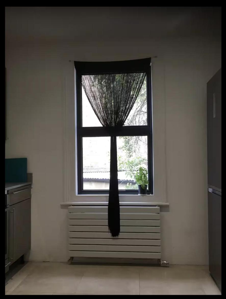 Fabulous Spacious Stylish Private Home Stay in London NW6 with Excellent transport links to centre, hosted by female currently taking bookings for females  view 4