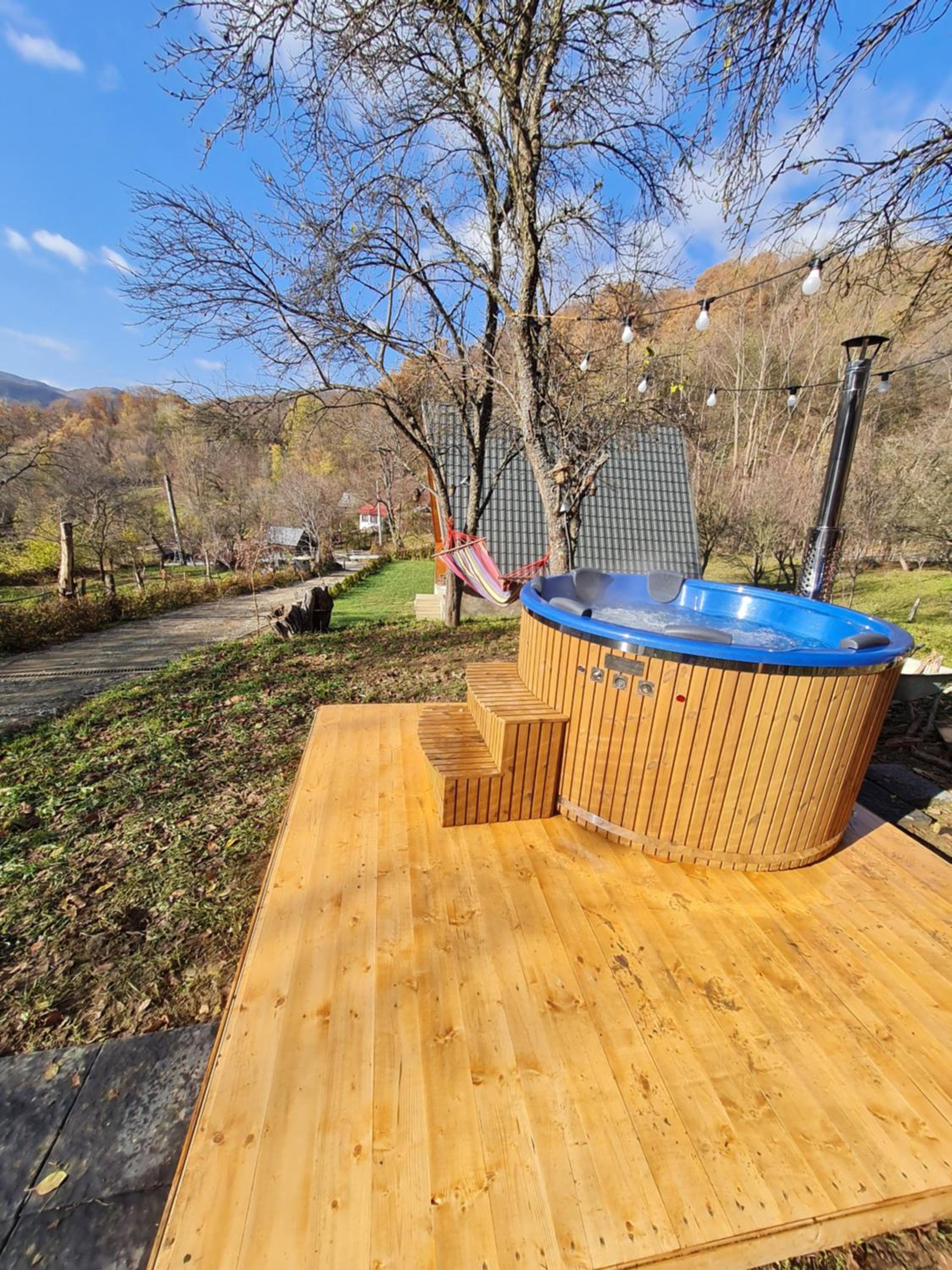Cabana AFrame Olanesti view 2