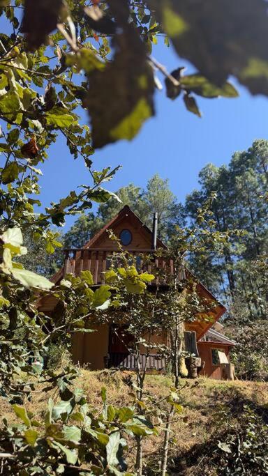 Cabaña en el bosque y cerca al río Starlink