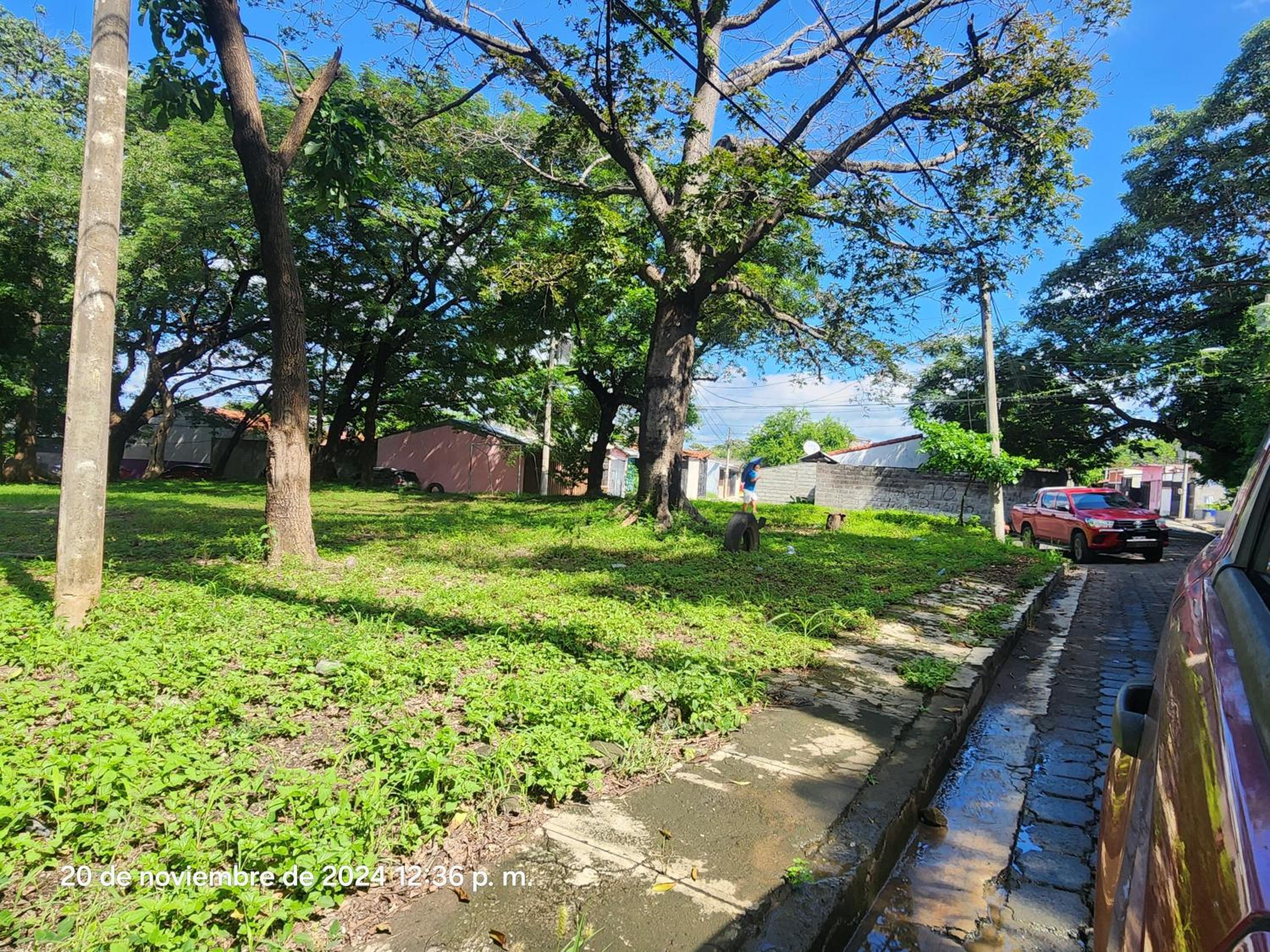 Photo 46