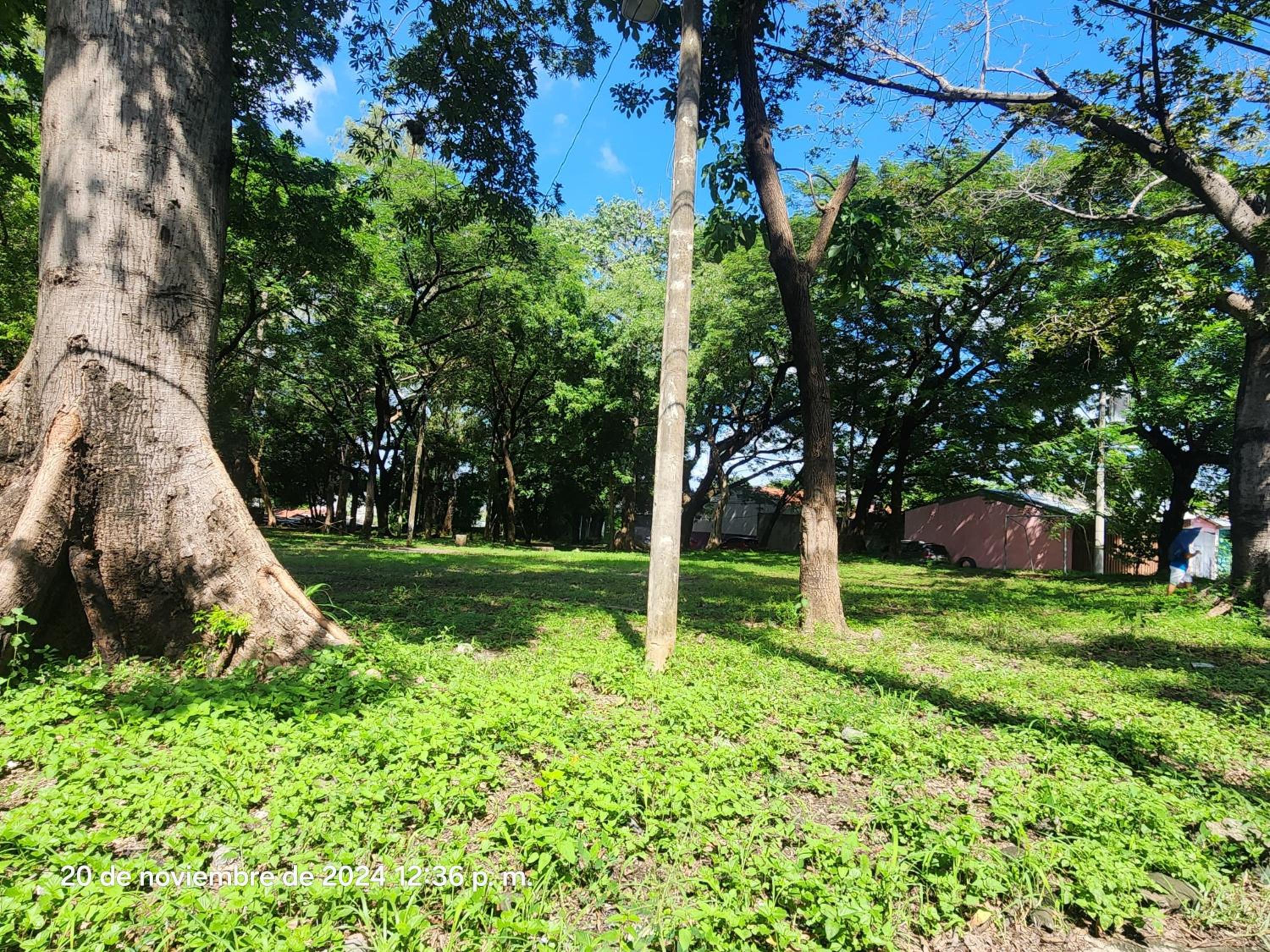 Photo 47