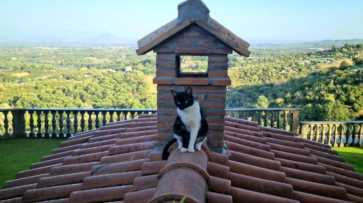 Casa Anna Maria view 2