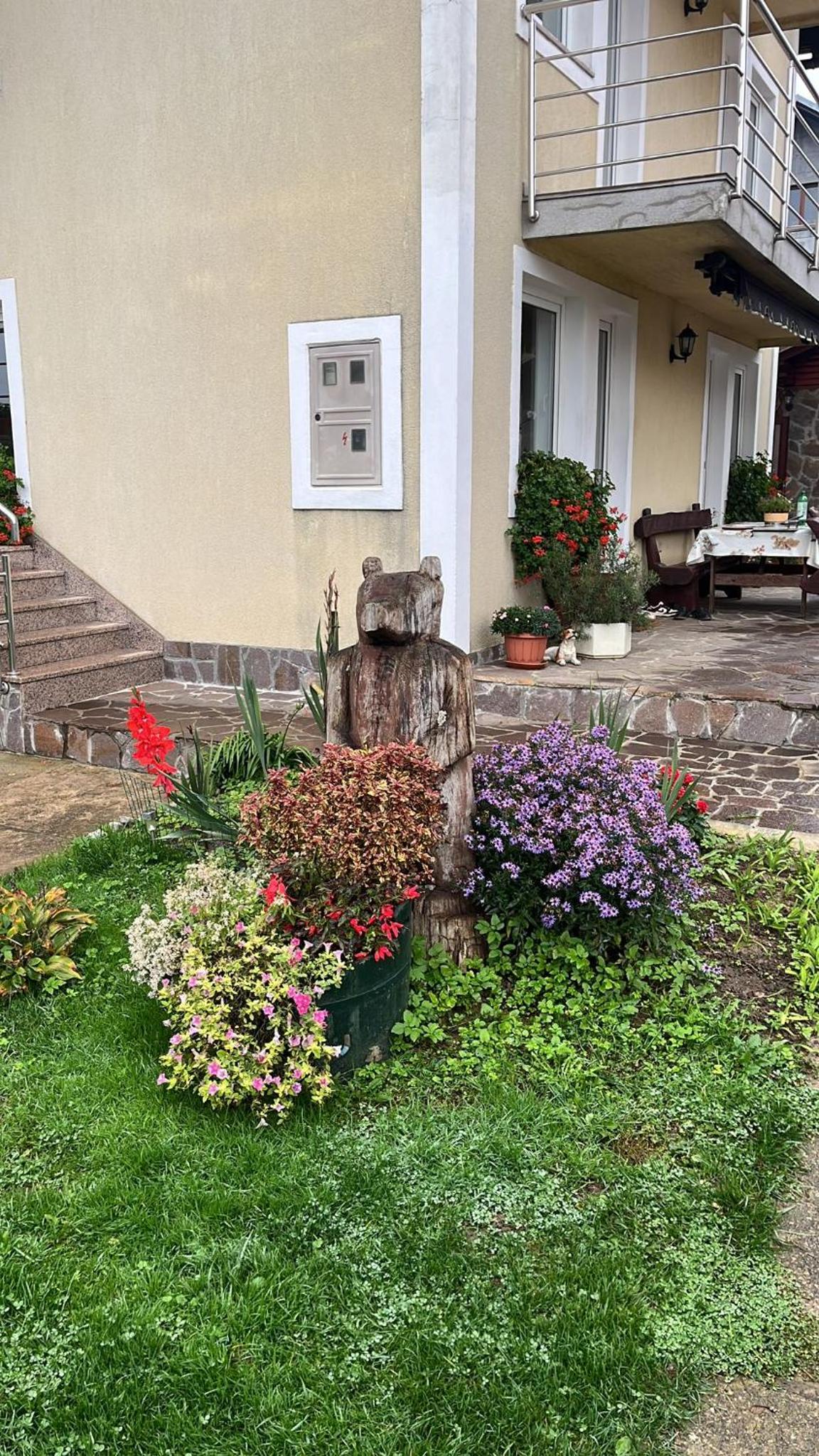 Photo 42