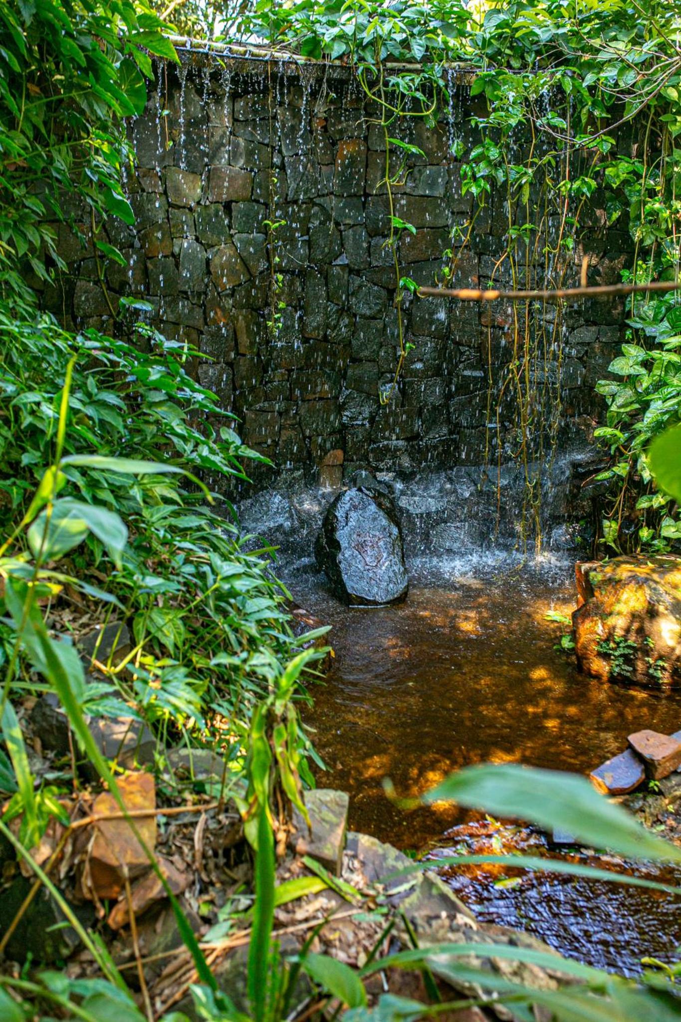 La Aldea De La Selva Lodge