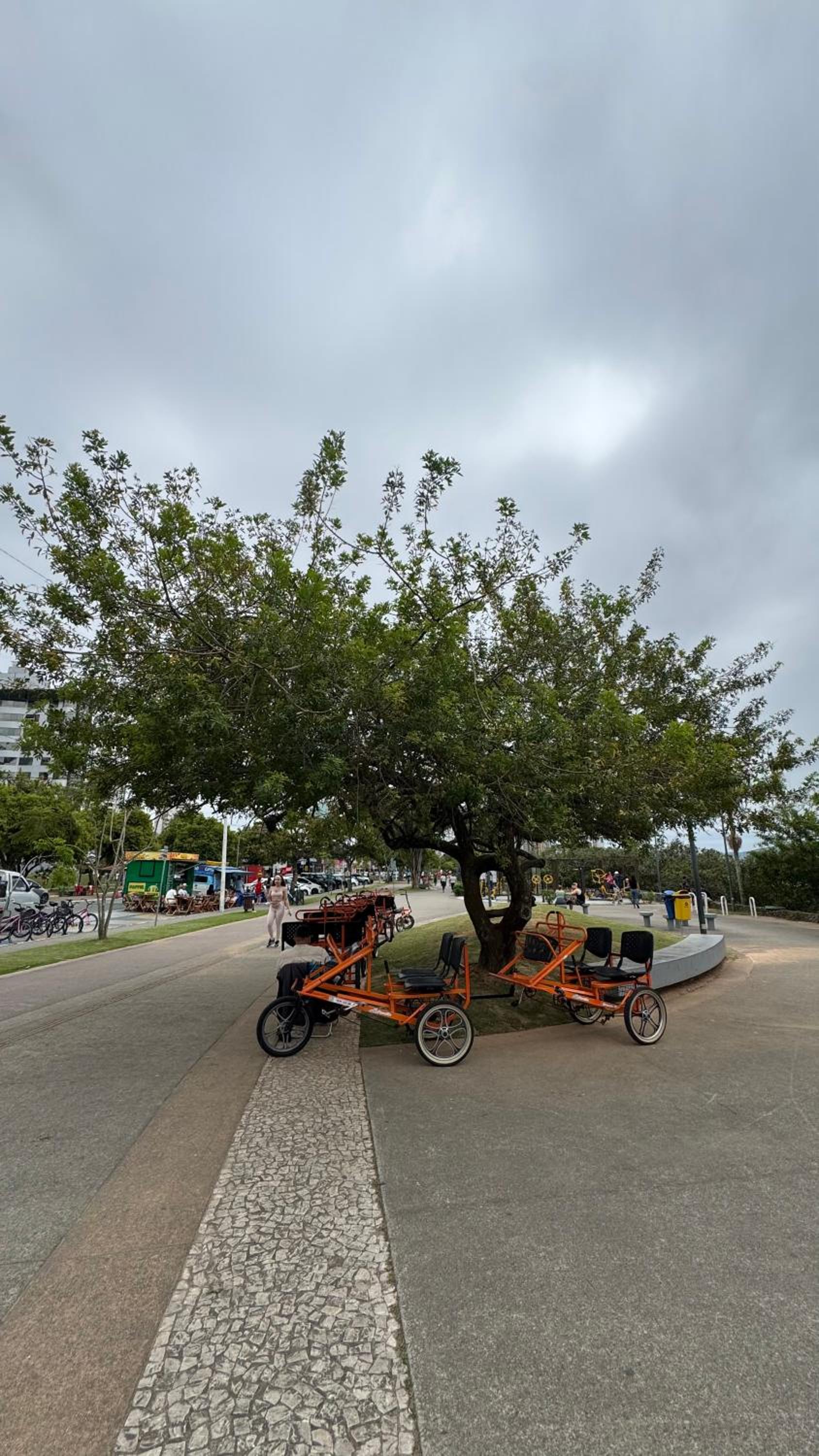 Aconchegante apê no coração de Itajaí