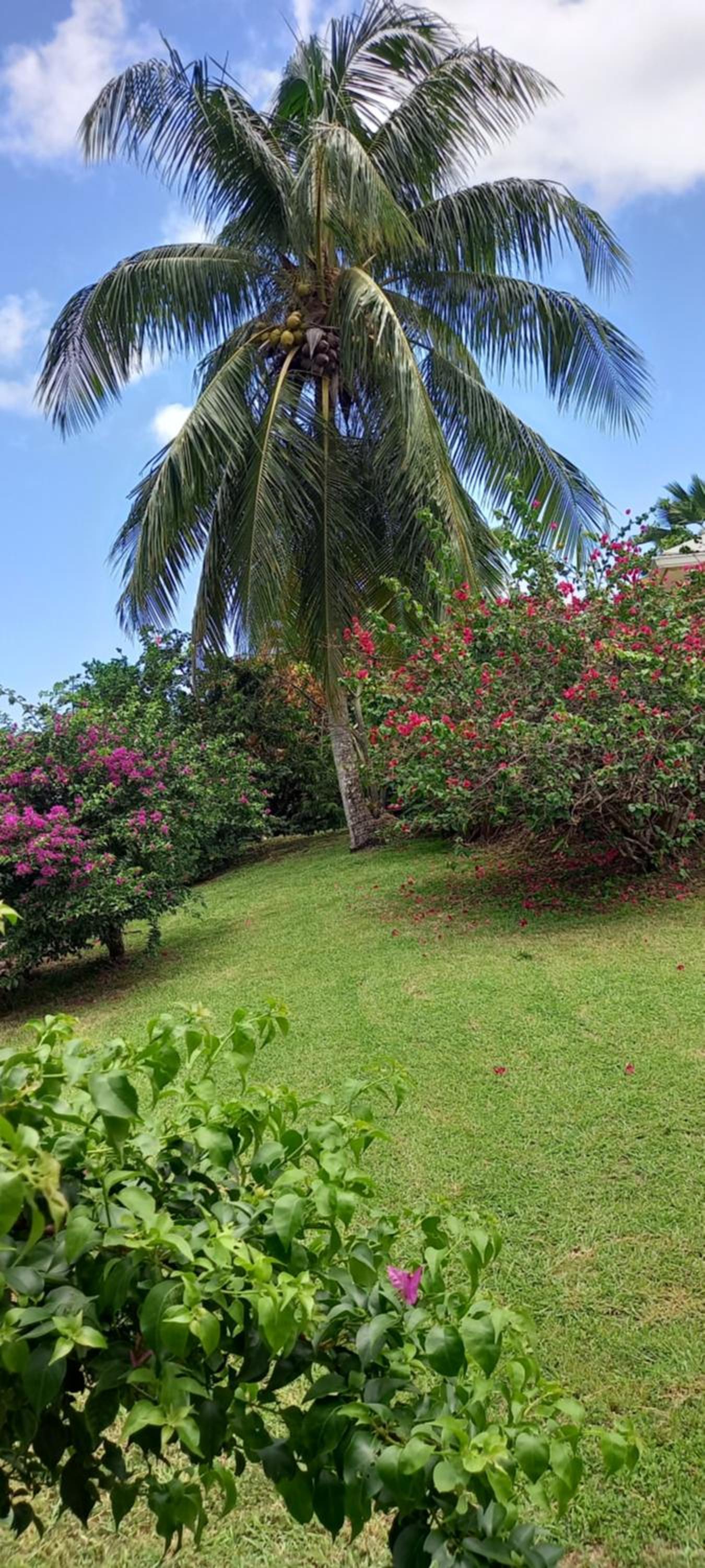 Location privative dans villa