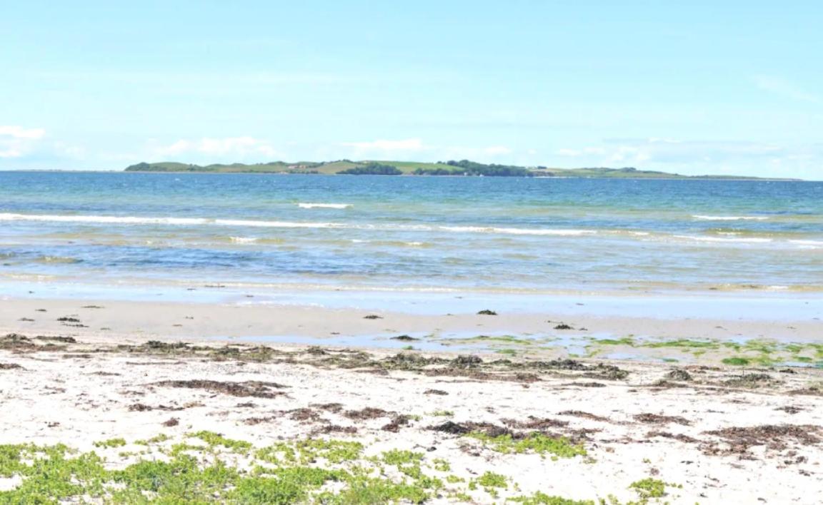 Moderne hus tæt på stranden